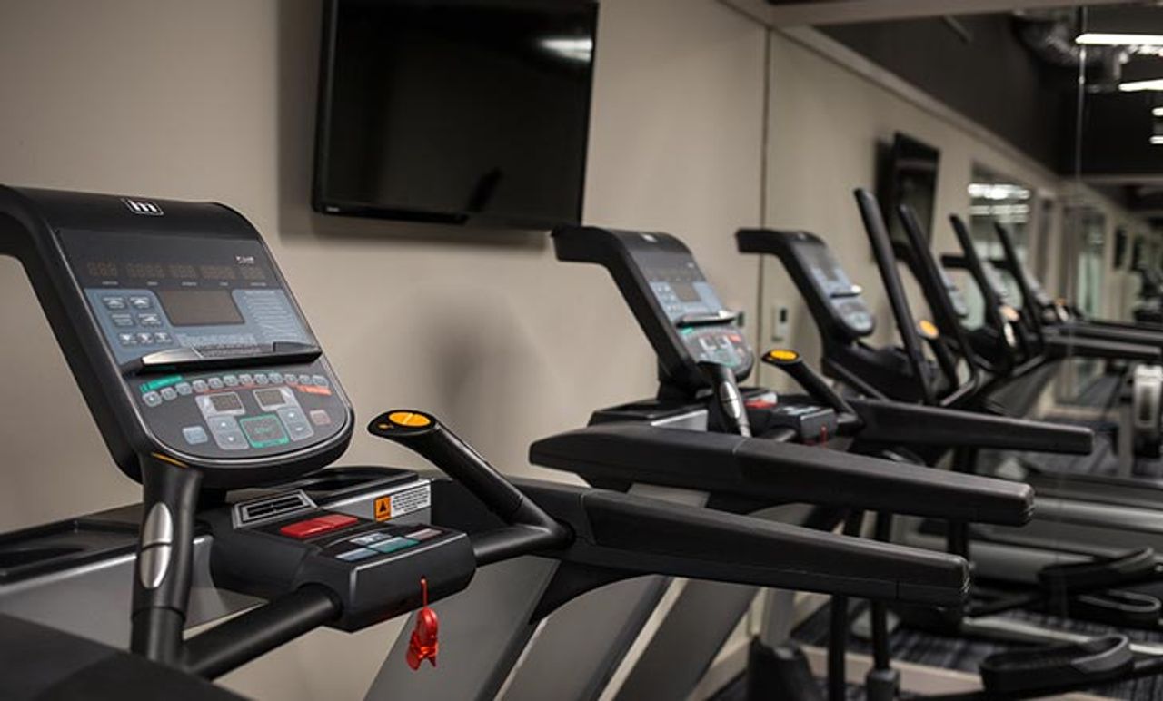 Image of Roman House, Derby