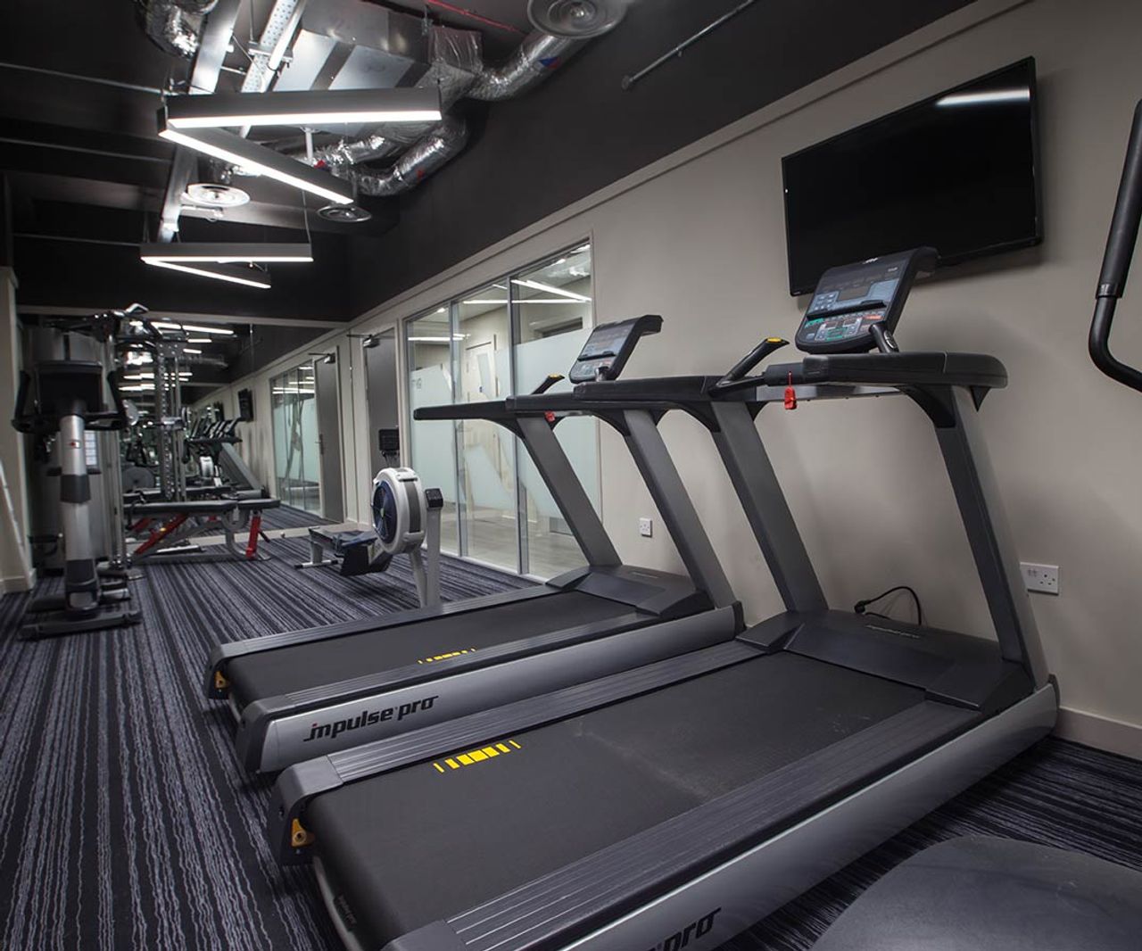 Image of Roman House, Derby