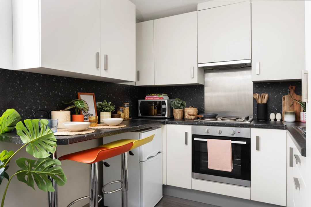 Image of Salisbury Court, Edinburgh