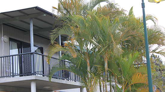 Image of SCU Village, Lismore