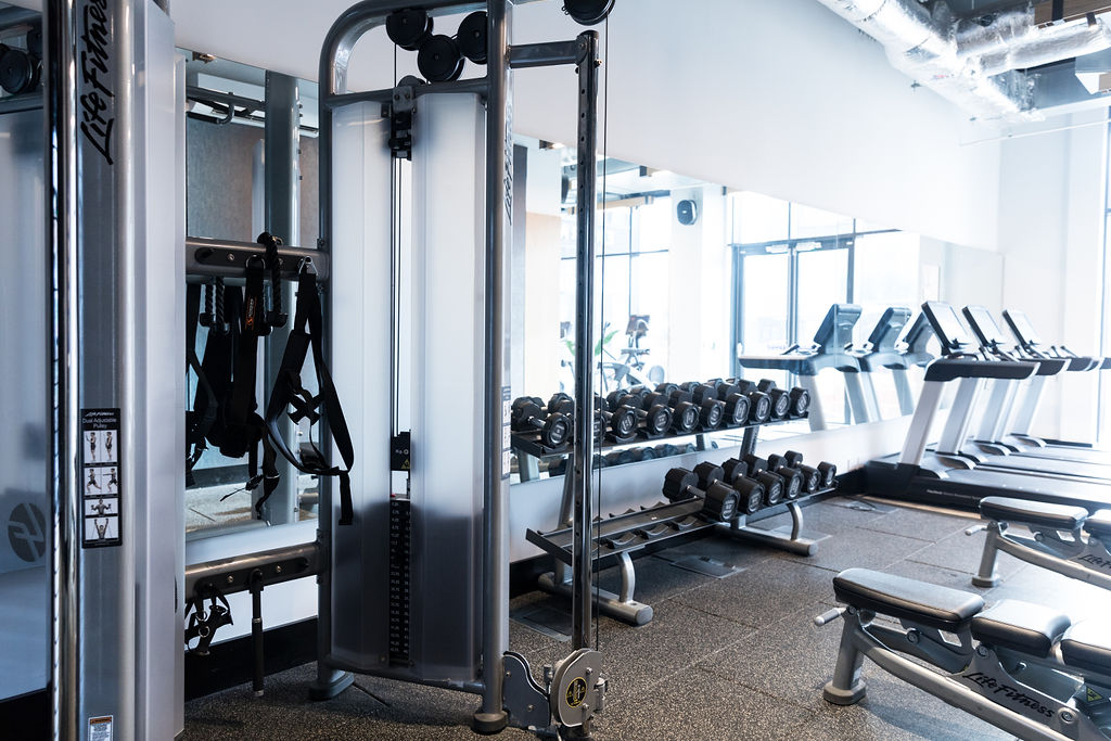 Image of SEREN, Swansea