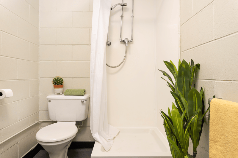 Image of Spring Gardens, Aberdeen