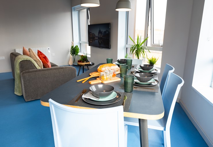 Image of Stephen's Quarter, Dublin