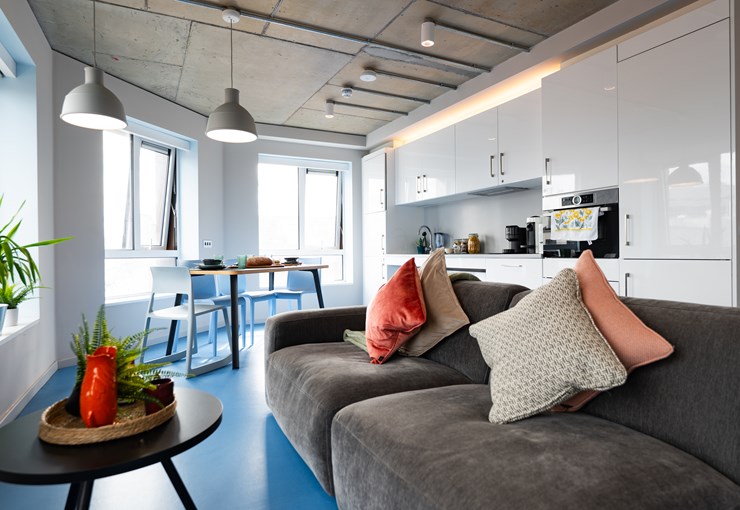 Image of Stephen's Quarter, Dublin