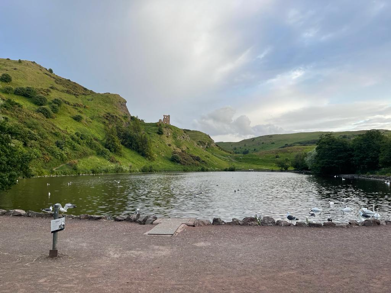Image of Straits Meadow, Edinburgh