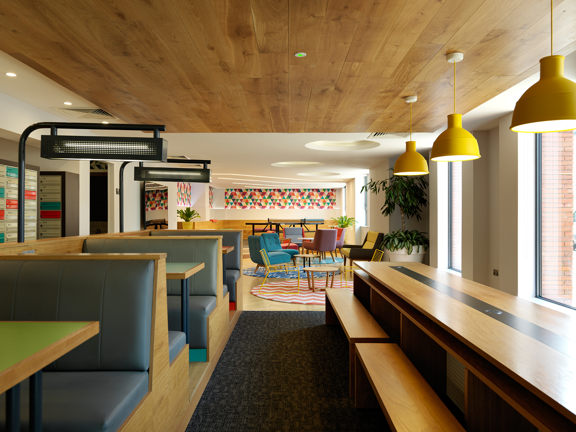 Image of Student Castle, York