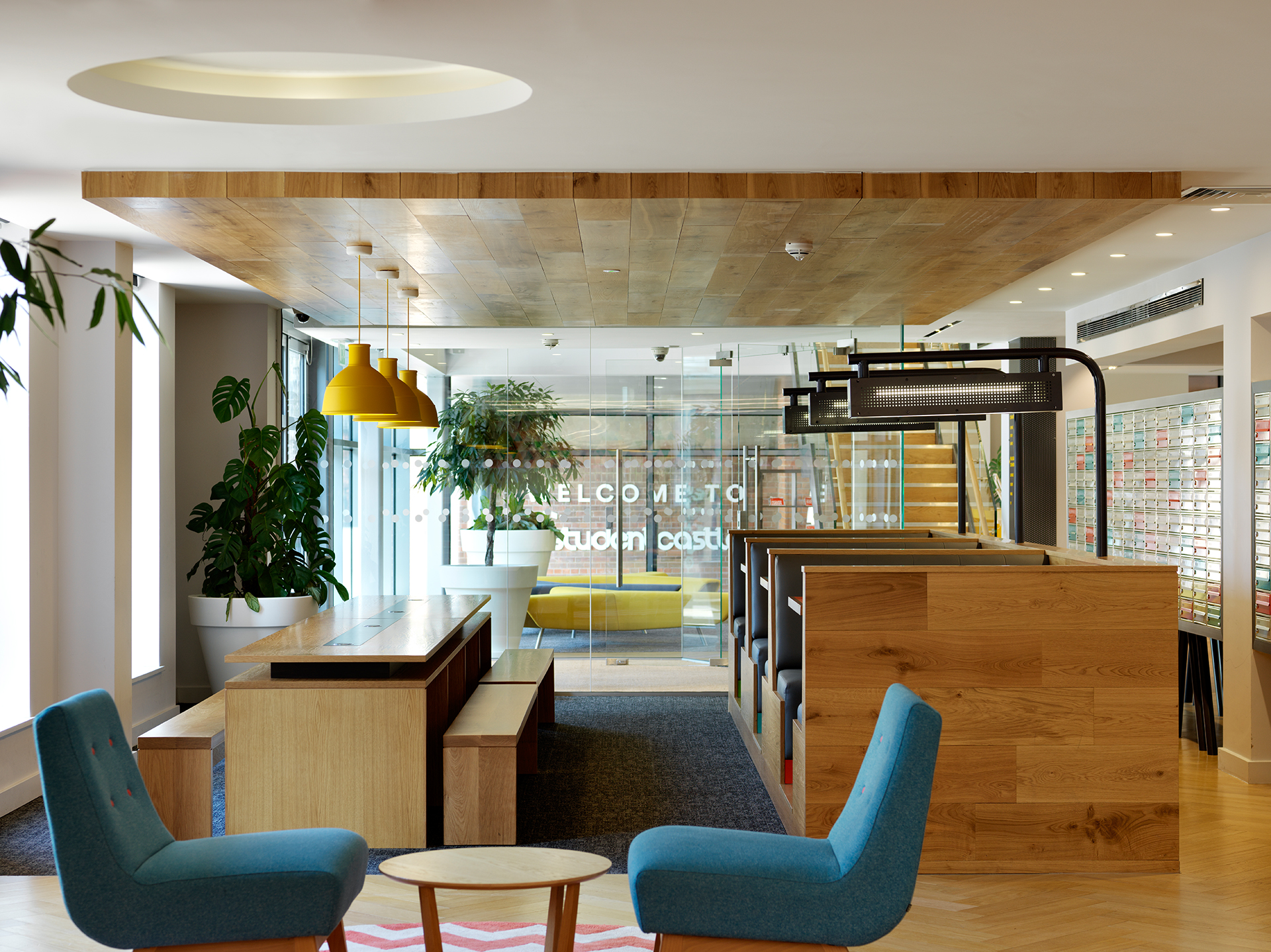 Image of Student Castle, York