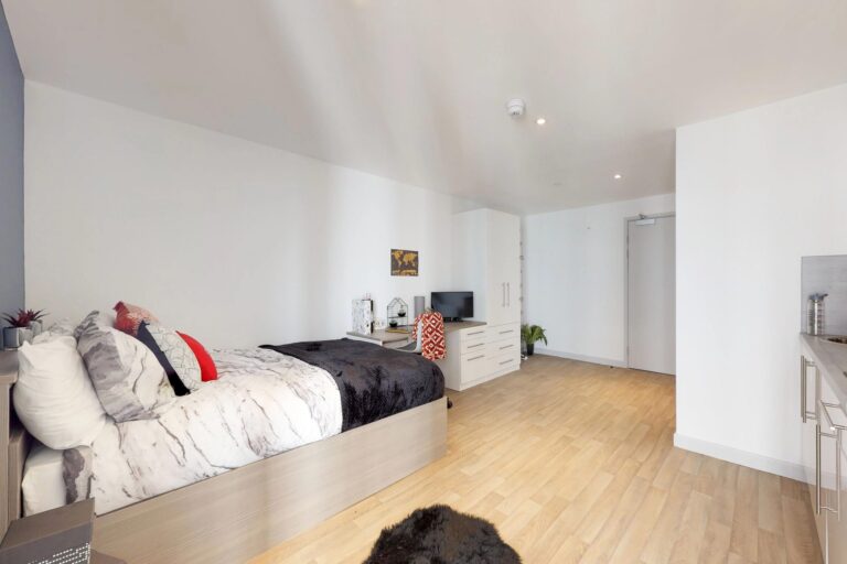 Image of The Bridge, Newcastle