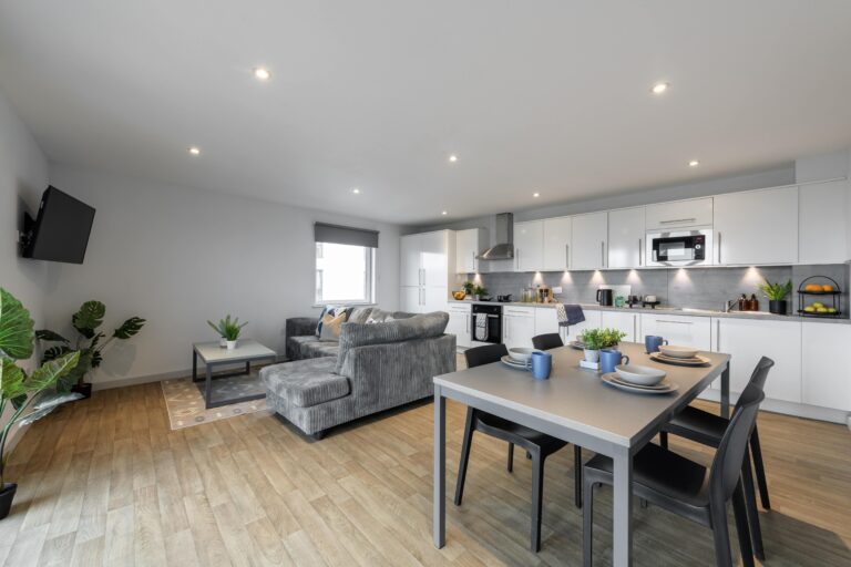 Image of The Bridge, Newcastle