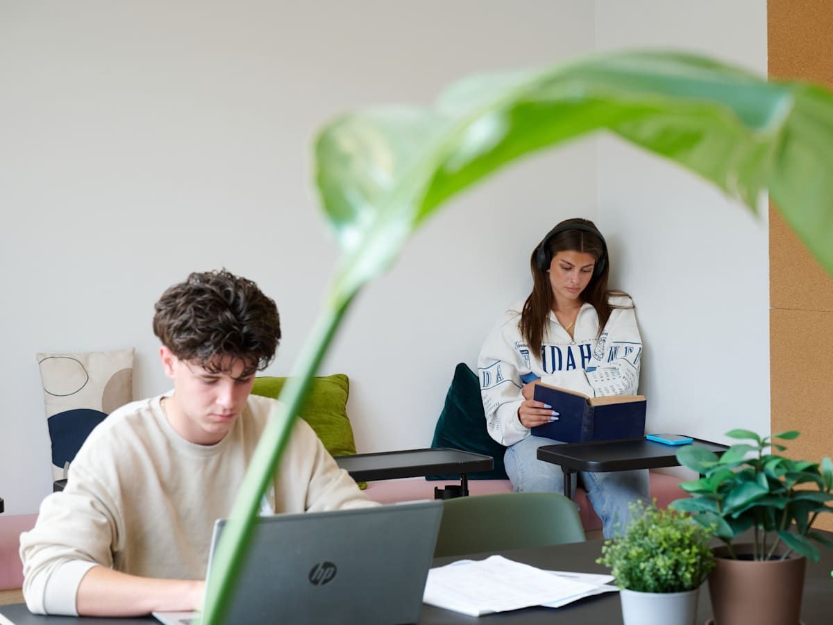 Image of The Brook, Bath