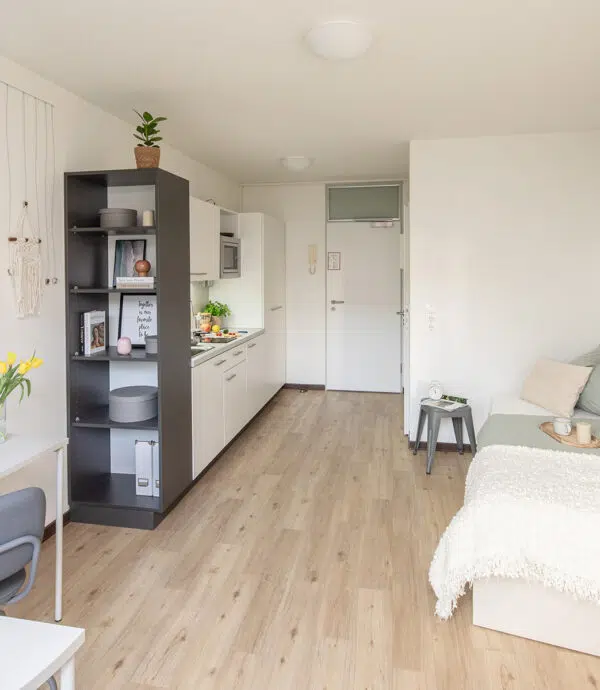 Image of The Fizz Bremen