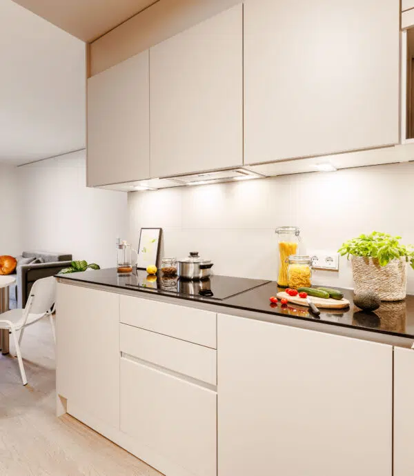 Image of The Fizz Ludwigshafen