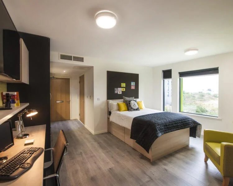 Image of The Lyra, London