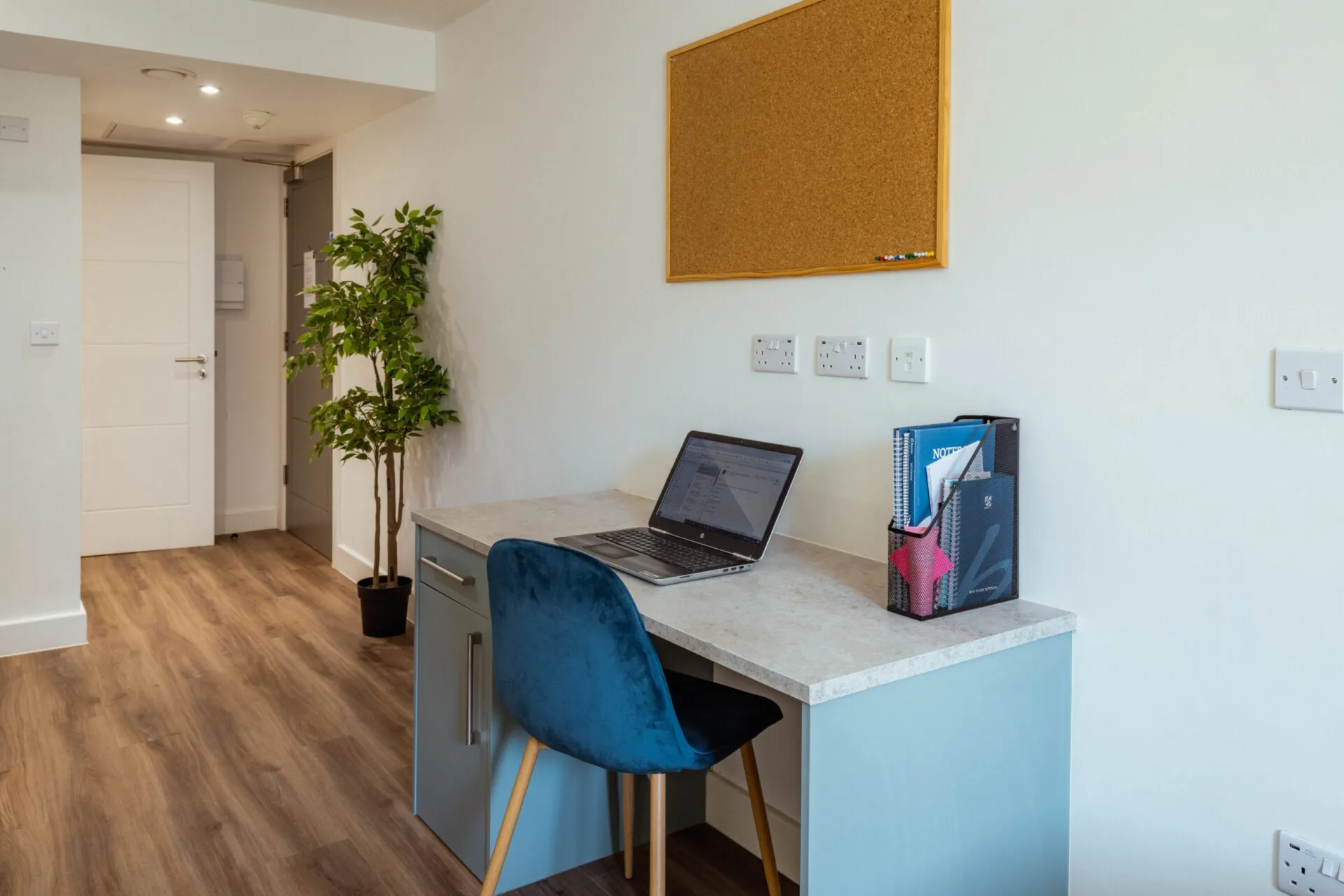 Image of The Nest, Nottingham