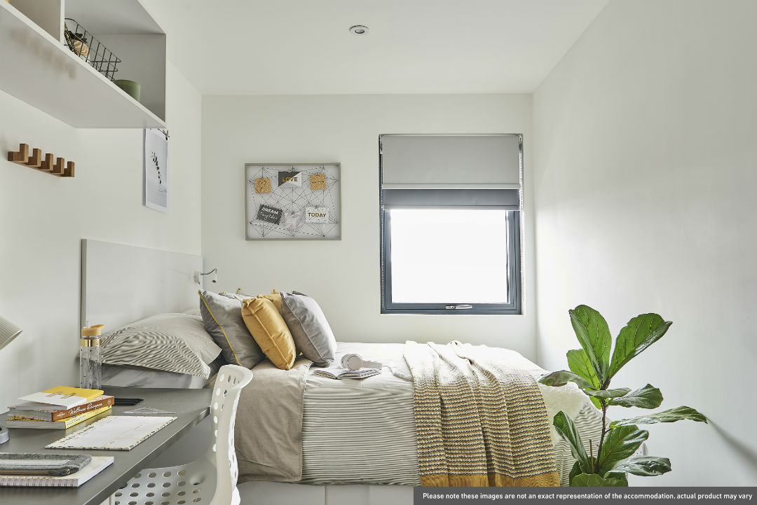 Image of The Quarry, Falmouth