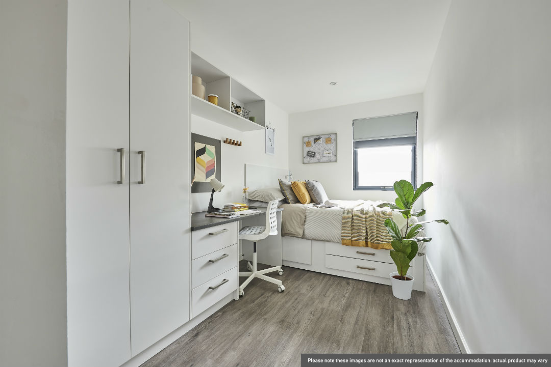 Image of The Quarry, Falmouth