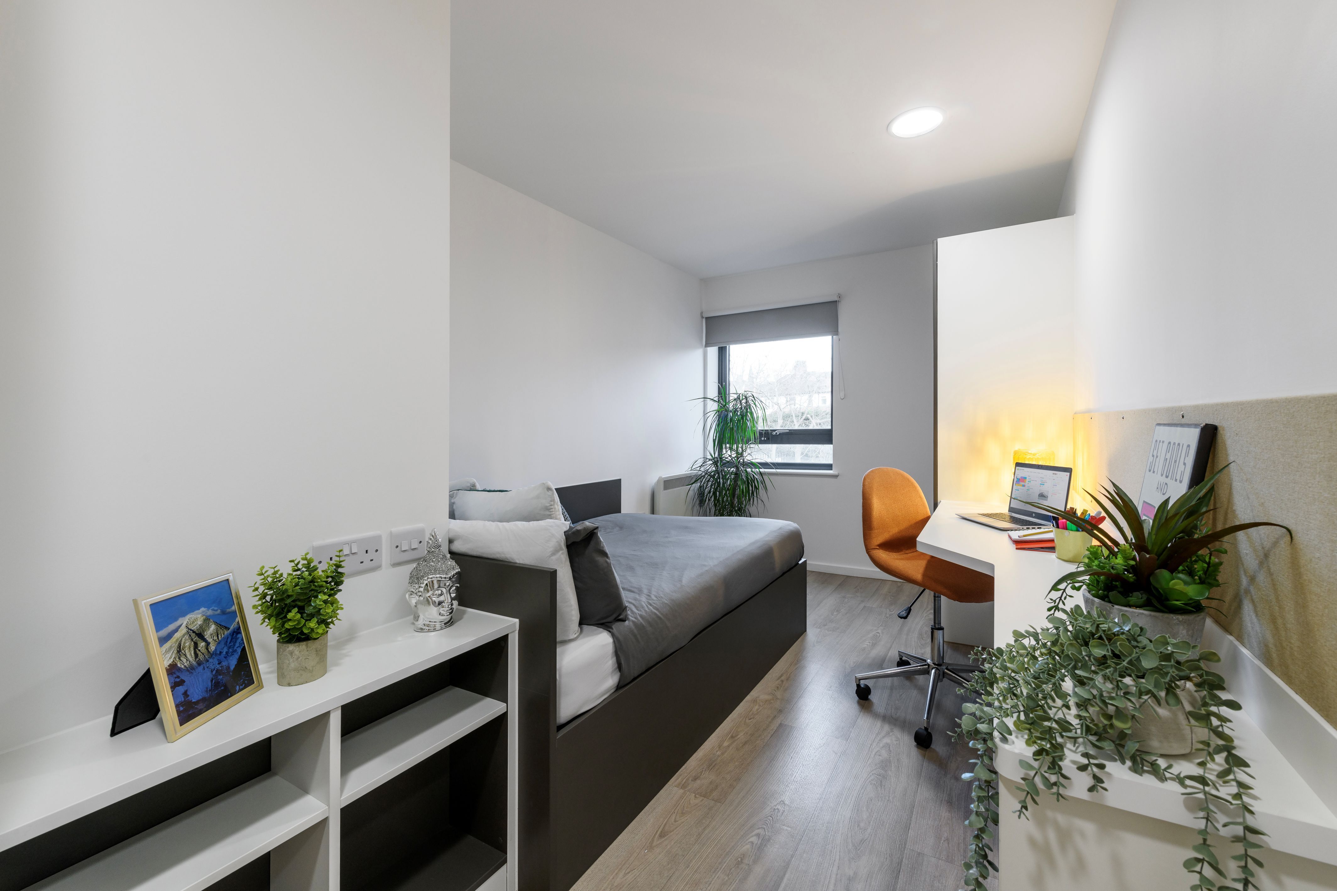 Image of The Towpath, Chester