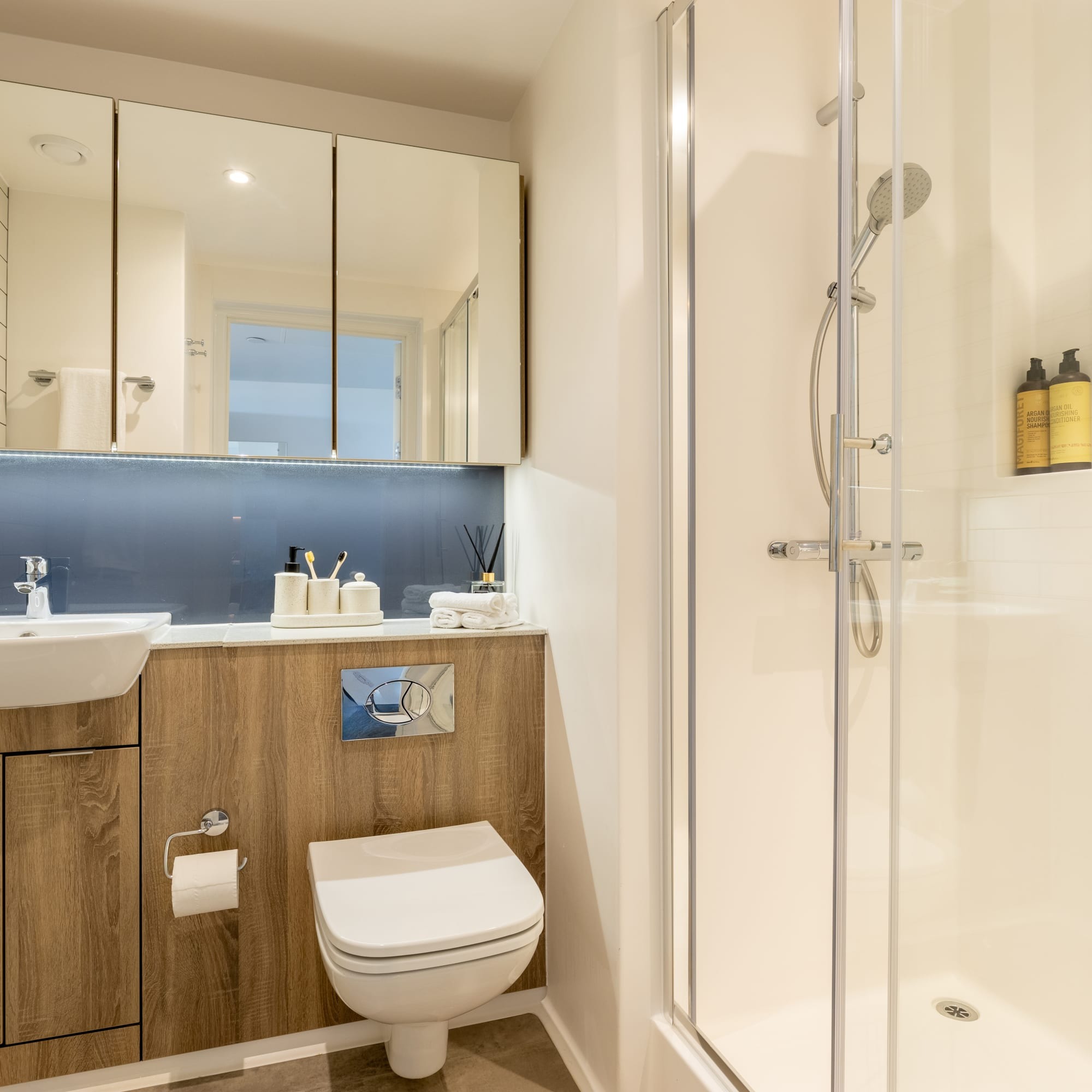 Image of true Manchester - Salford