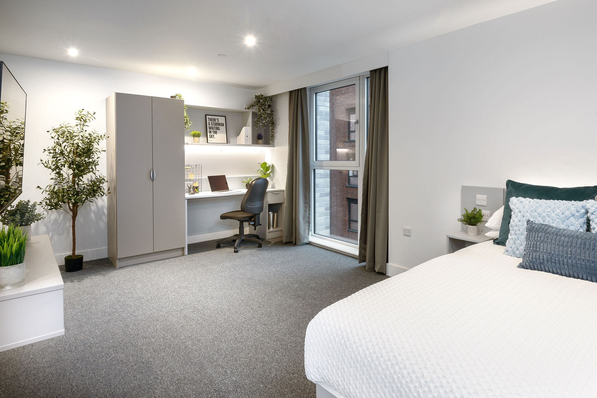 Image of true Sheffield