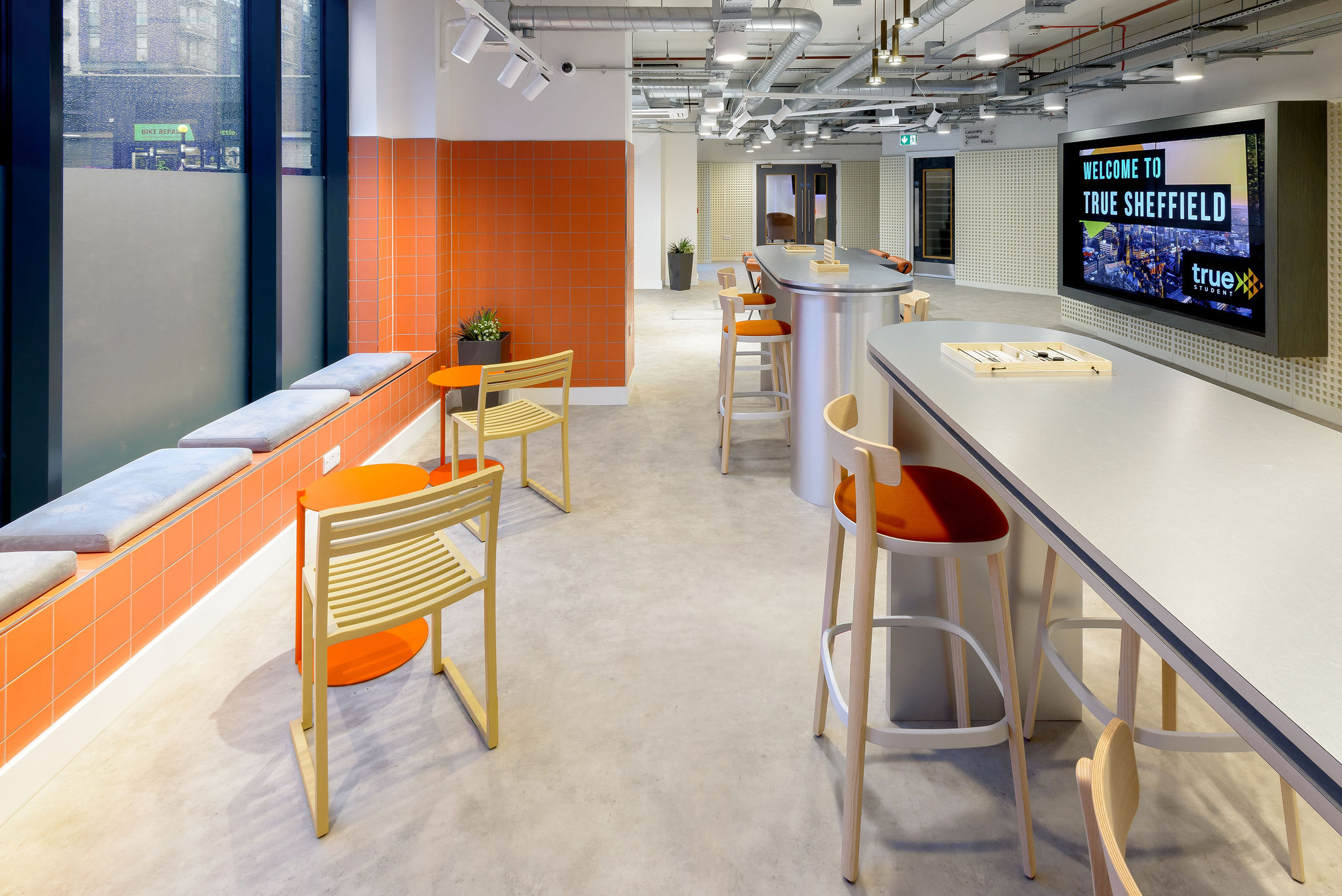 Image of true Sheffield