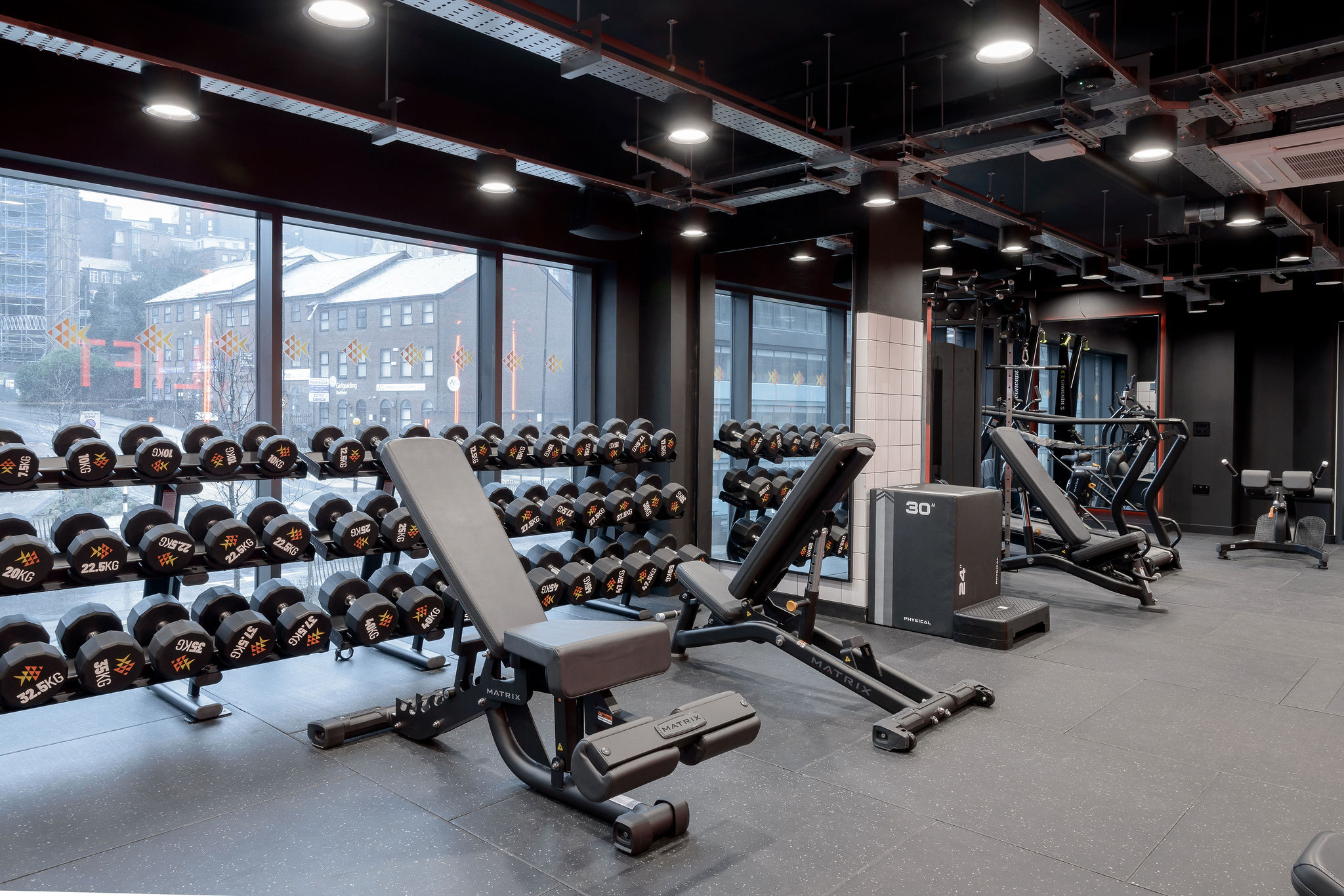 Image of true Sheffield