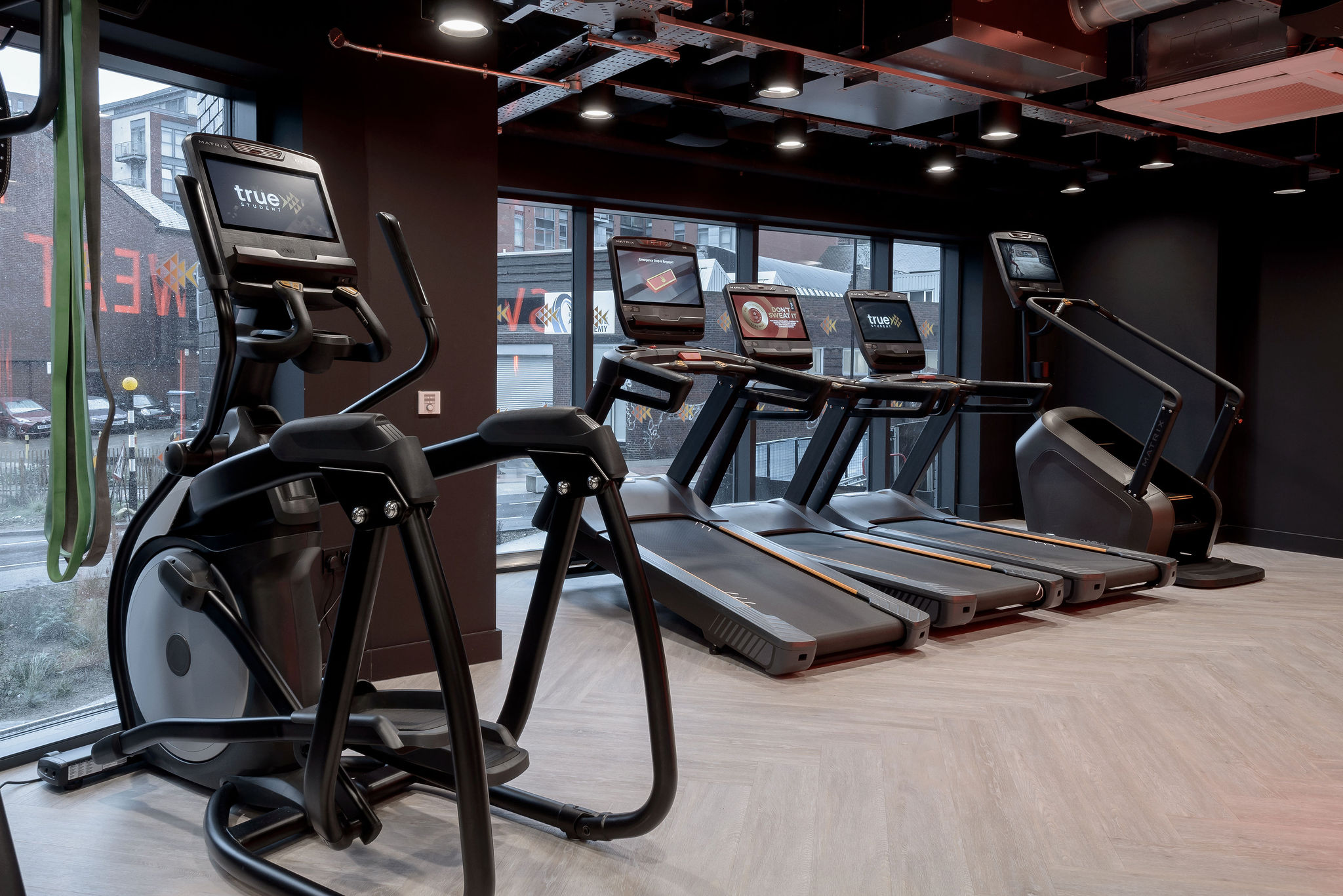 Image of true Sheffield