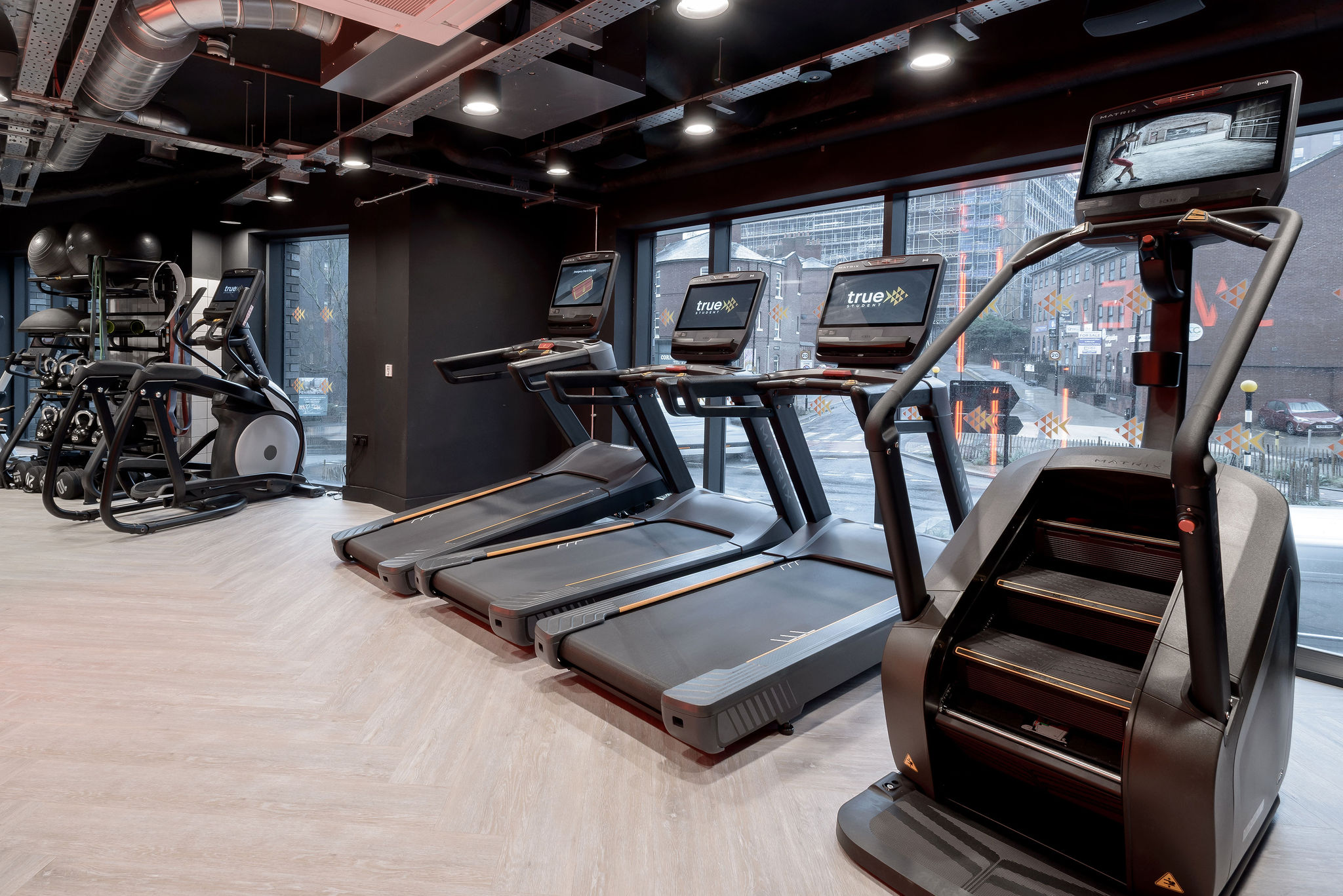 Image of true Sheffield