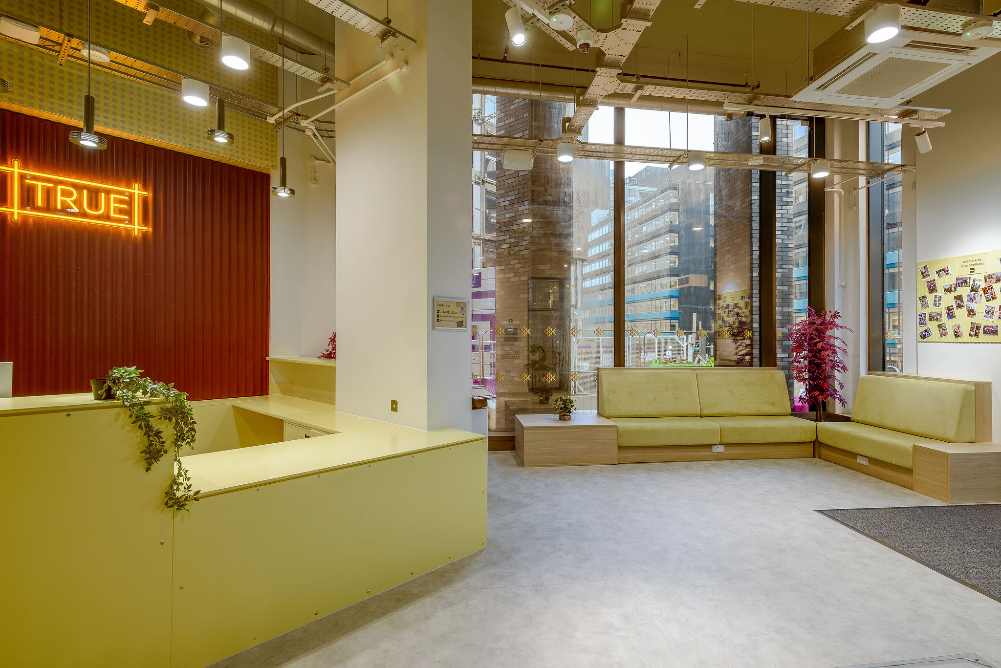 Image of true Sheffield