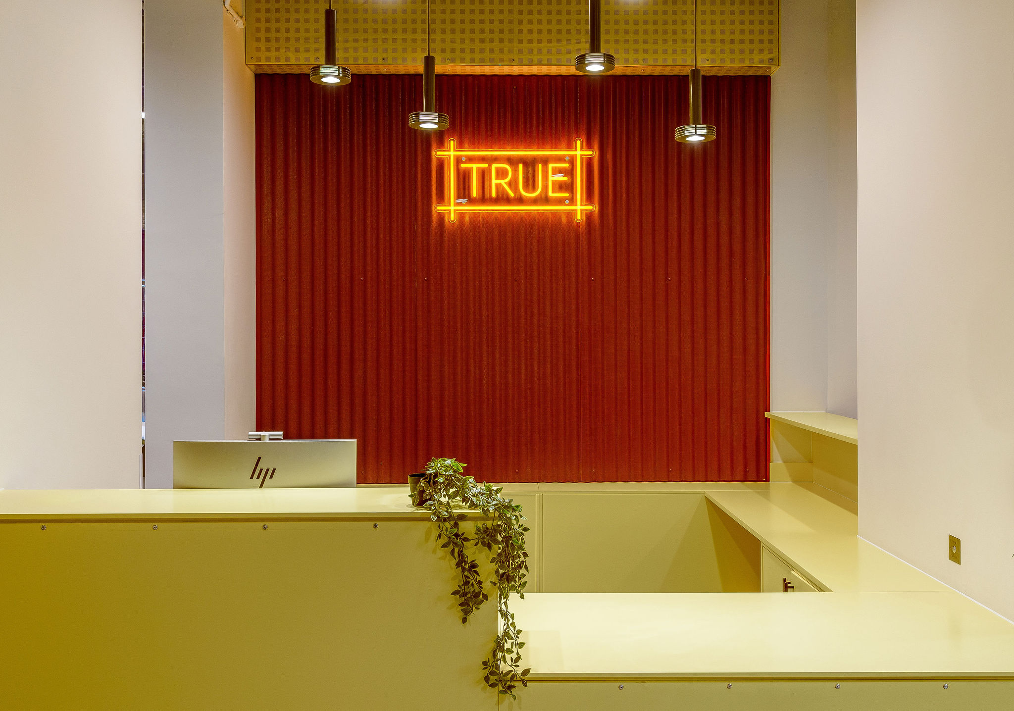 Image of true Sheffield