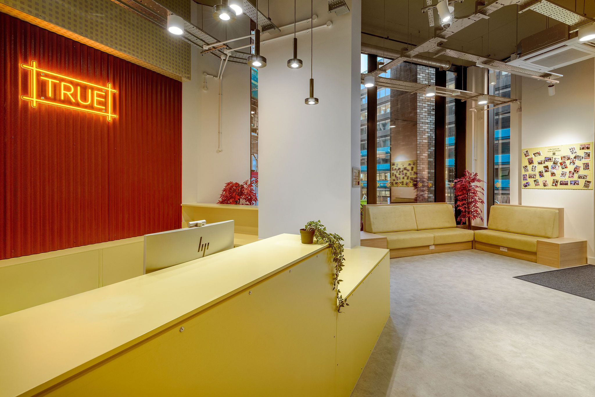 Image of true Sheffield