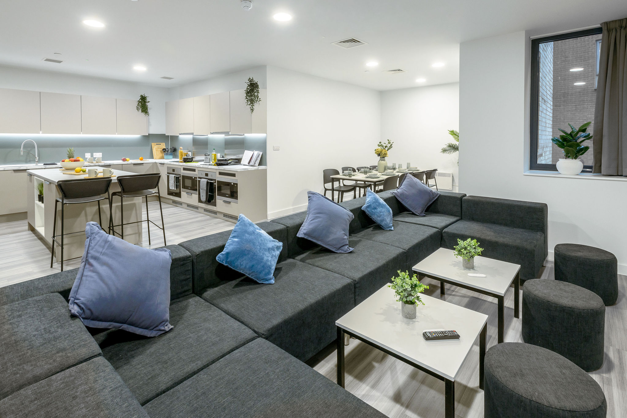 Image of true Leicester