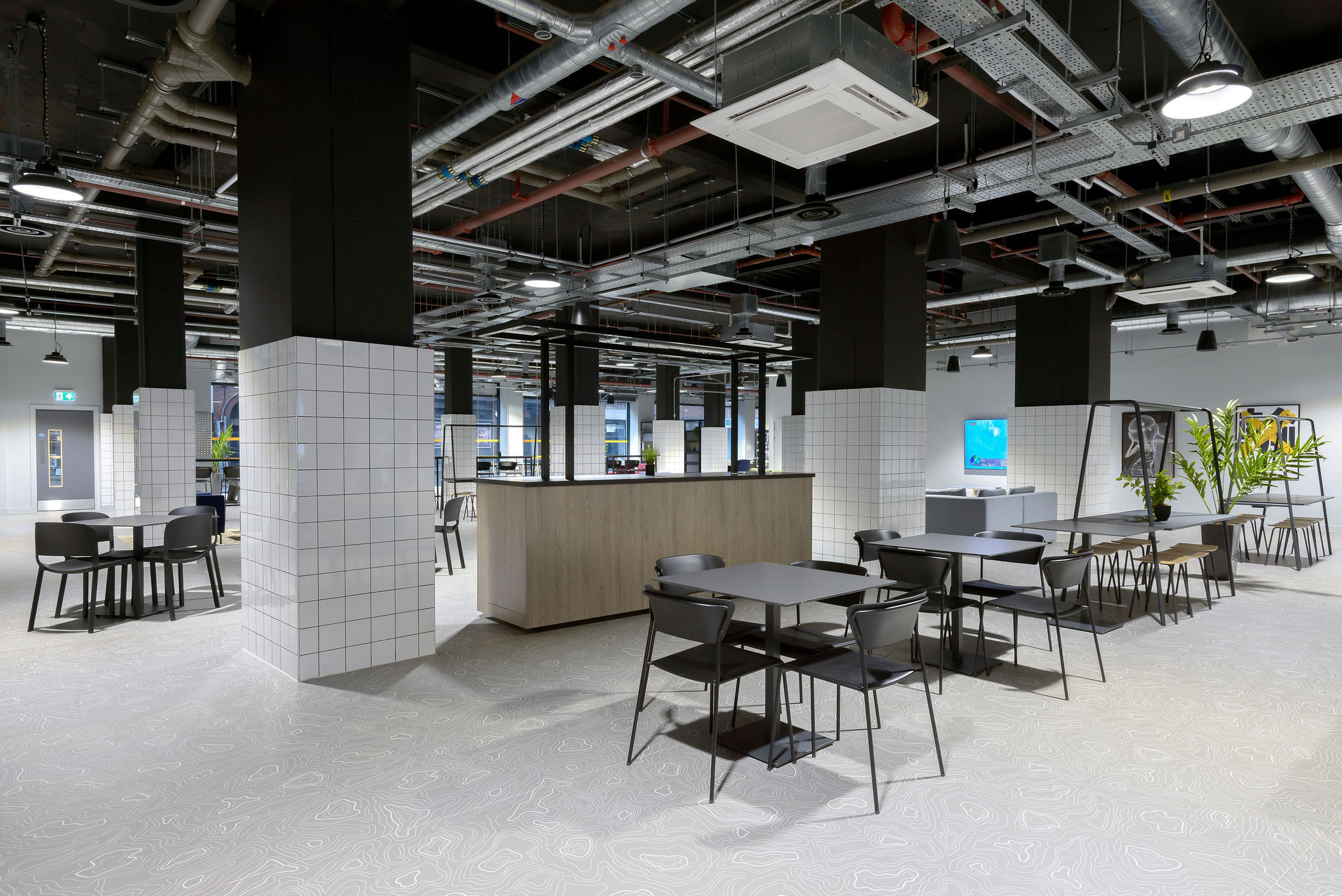 Image of true Leicester