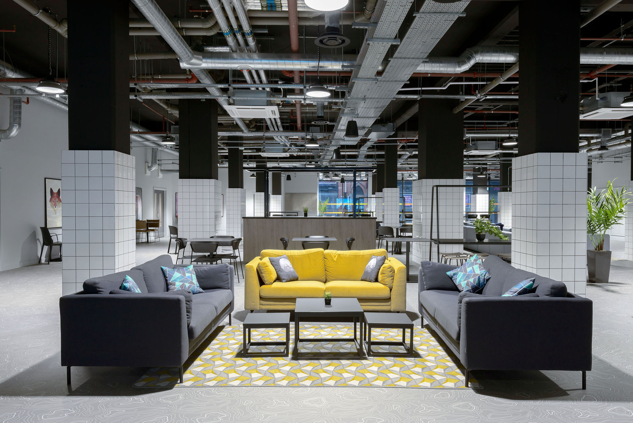 Image of true Leicester