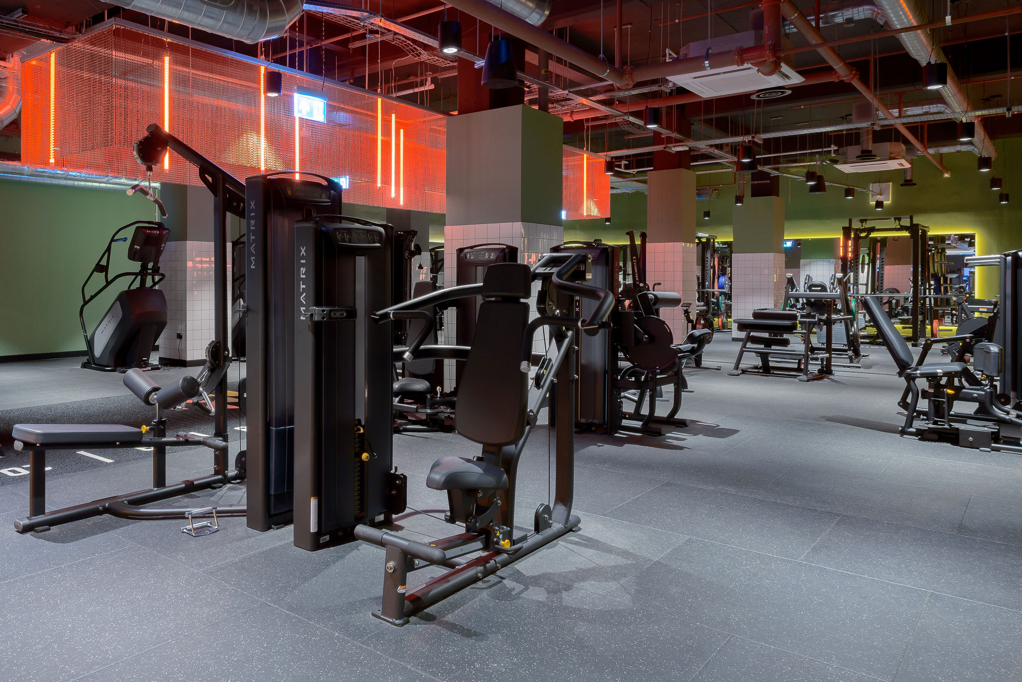 Image of true Leicester