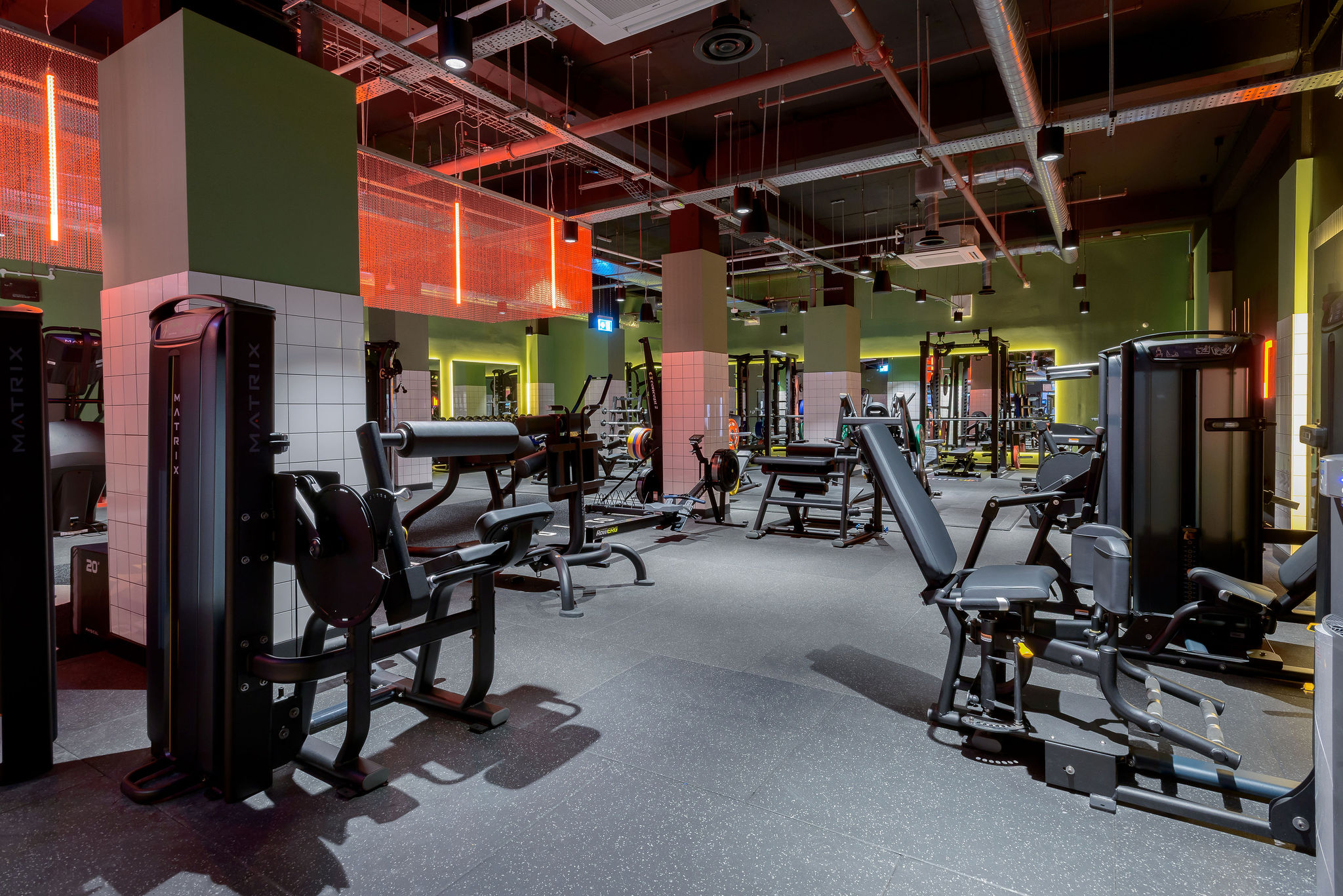 Image of true Leicester