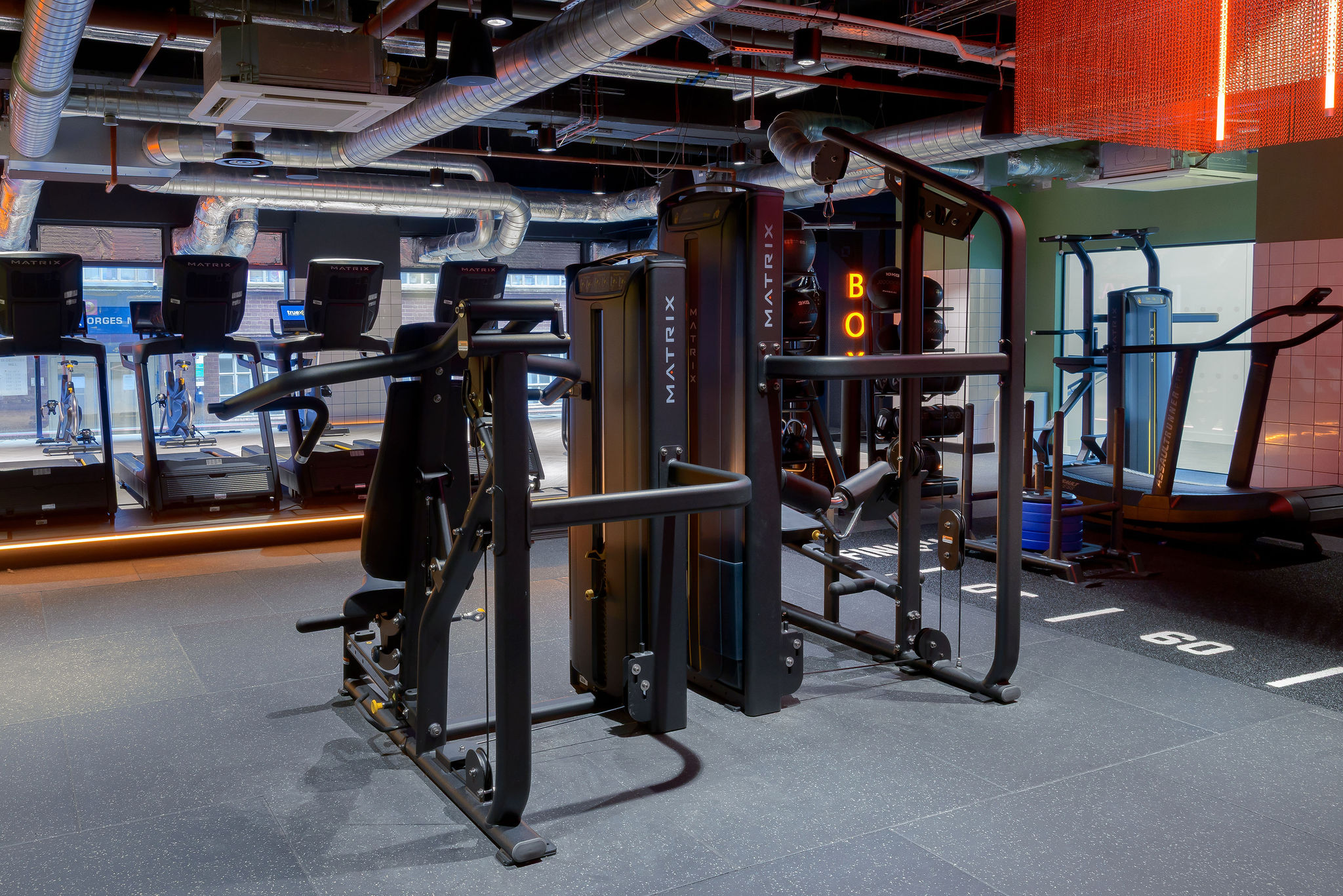 Image of true Leicester