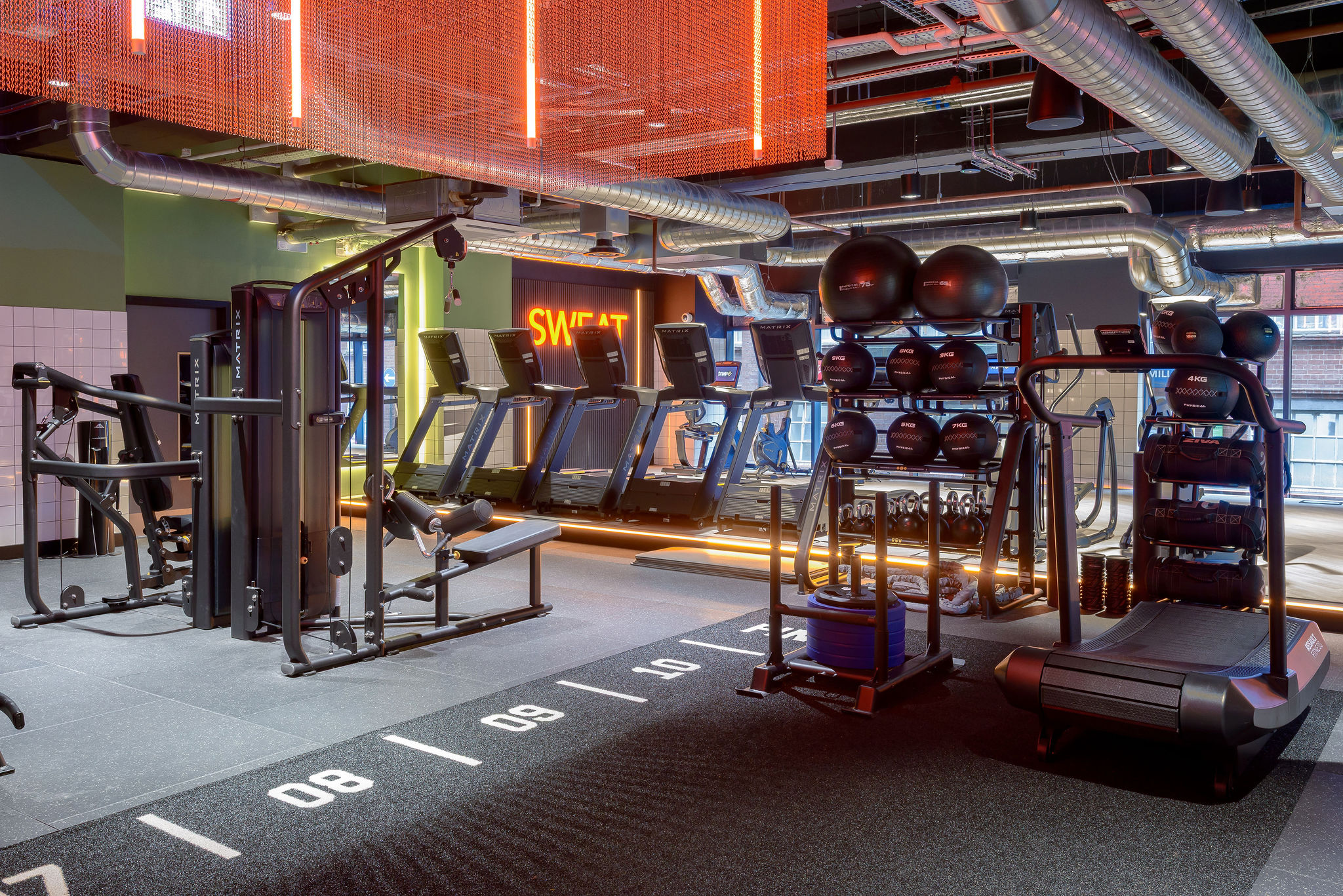 Image of true Leicester