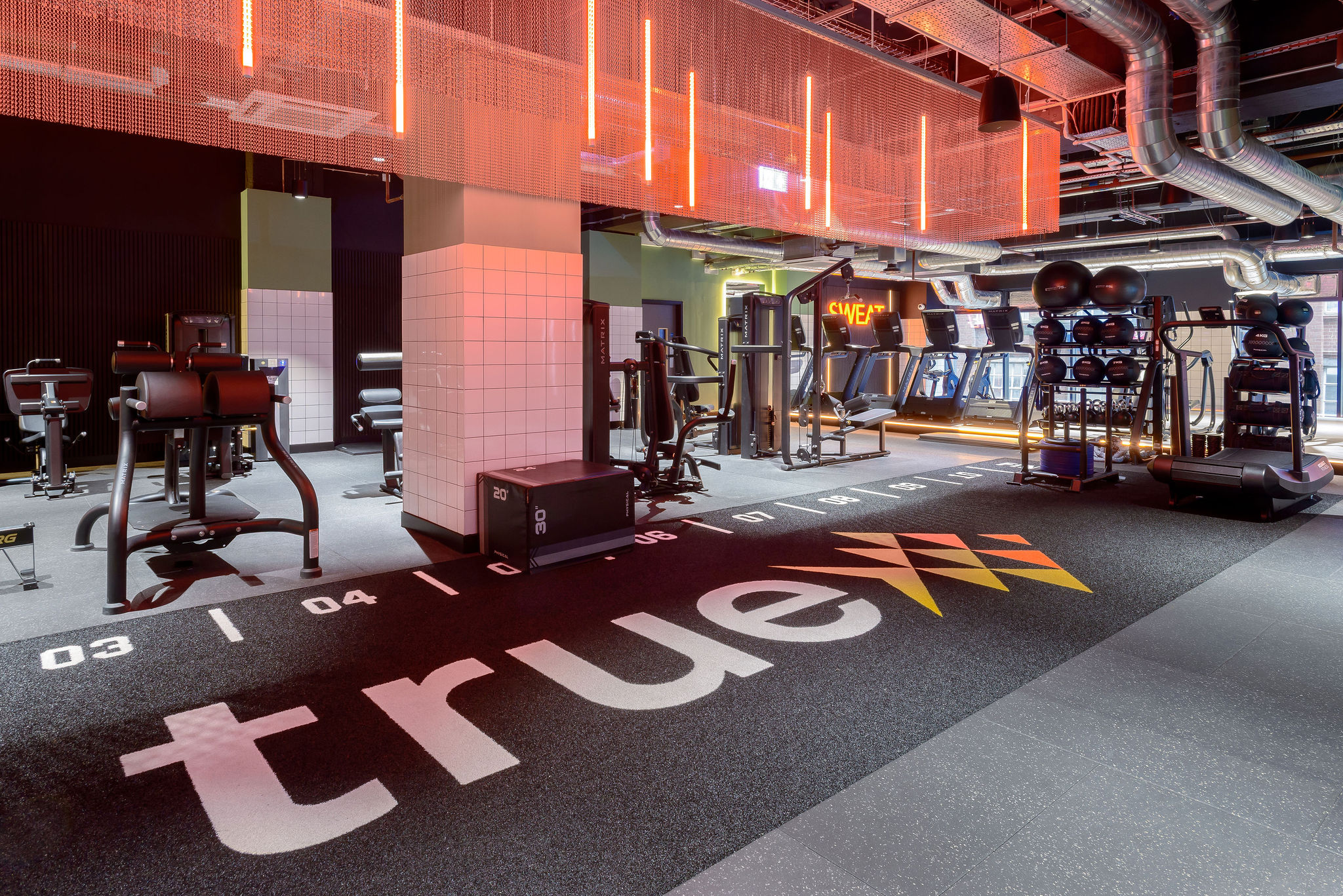 Image of true Leicester