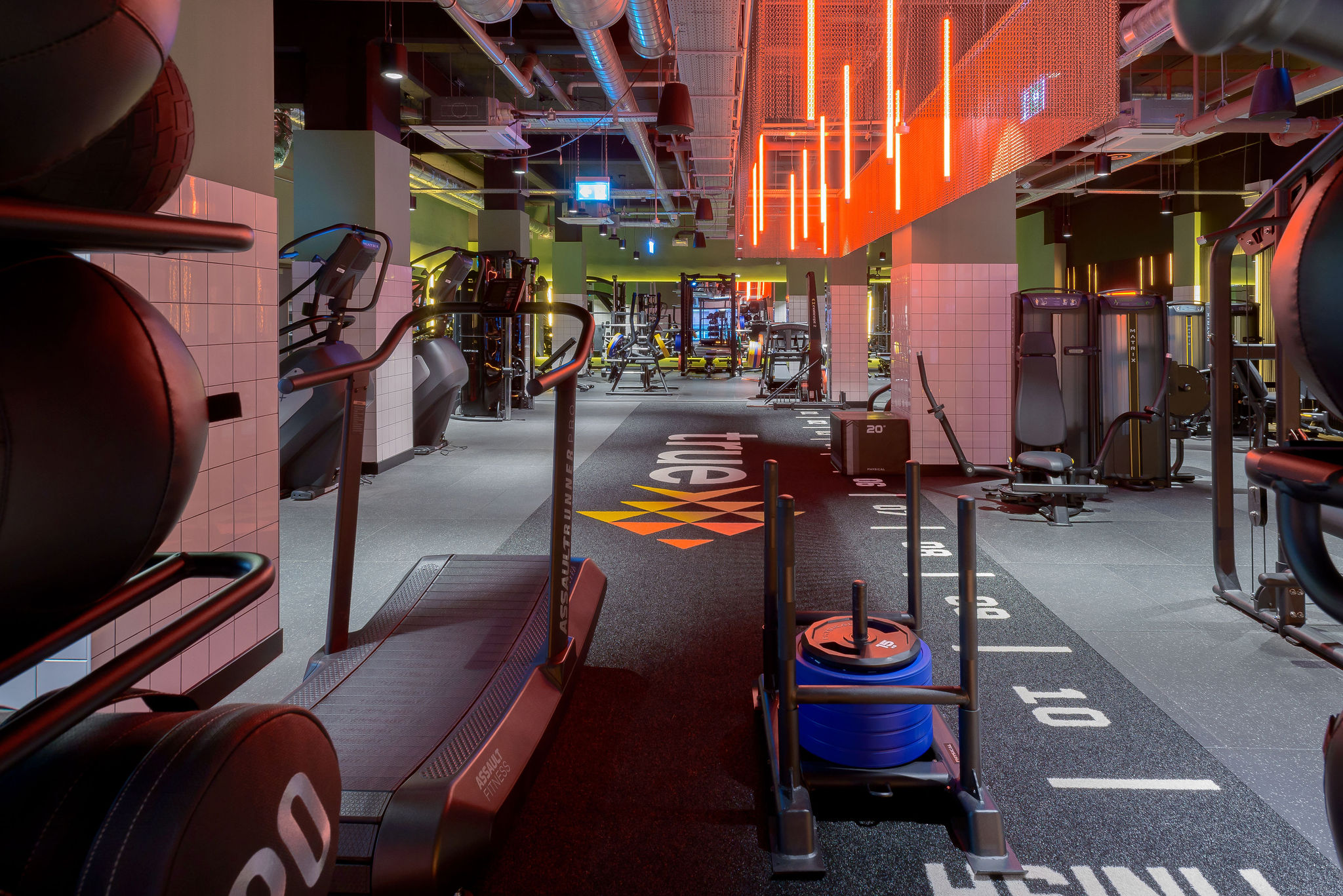 Image of true Leicester