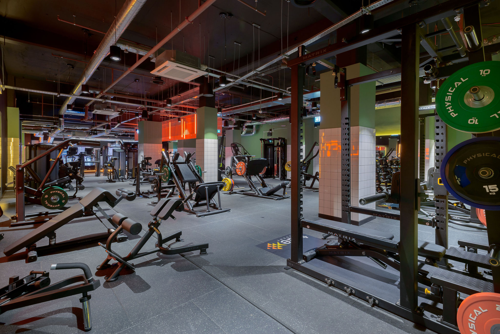 Image of true Leicester