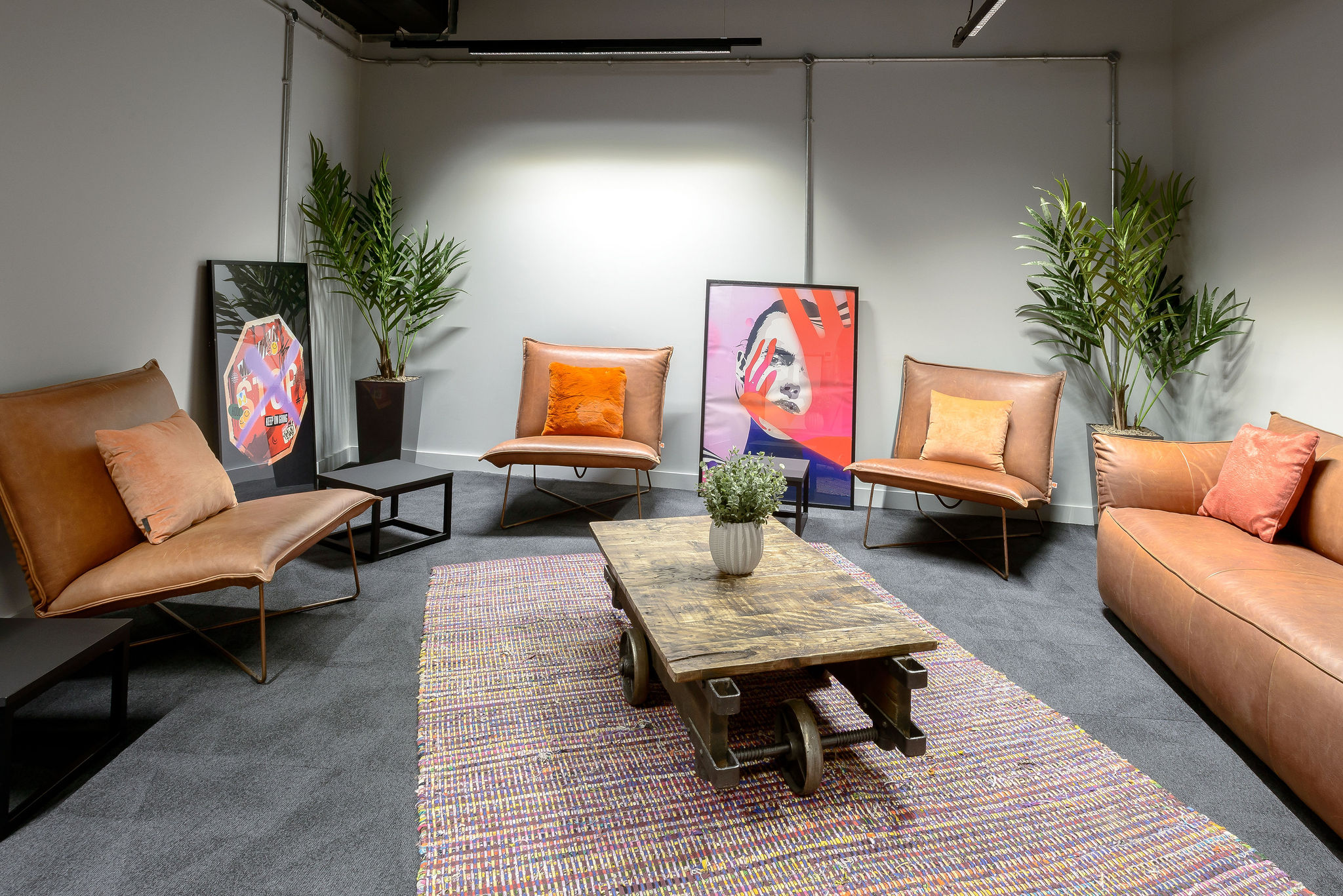 Image of true Leicester