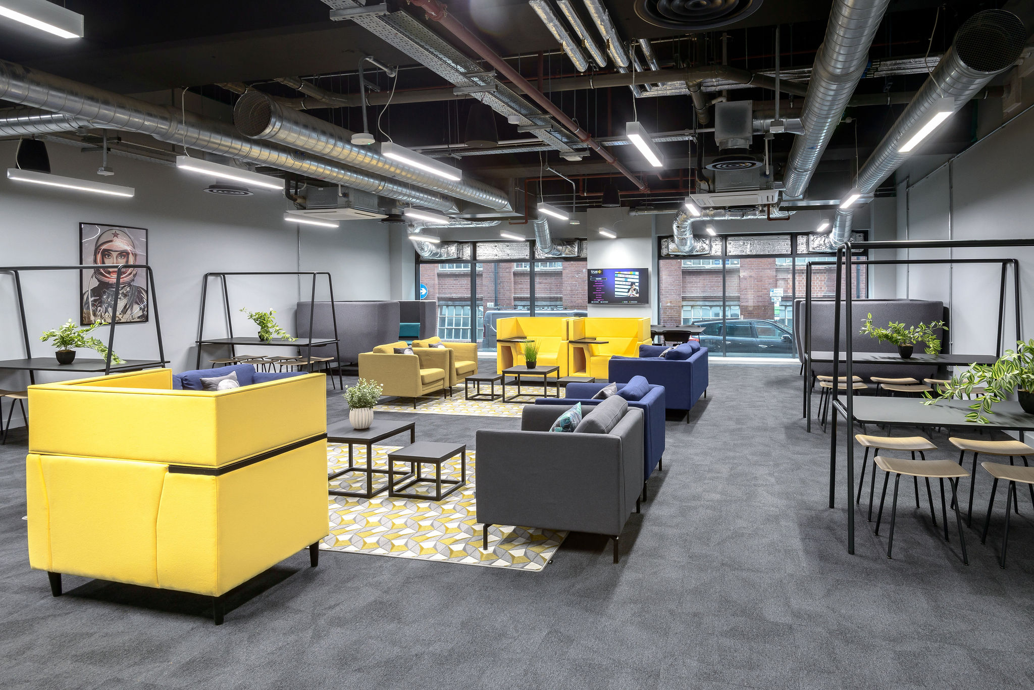 Image of true Leicester