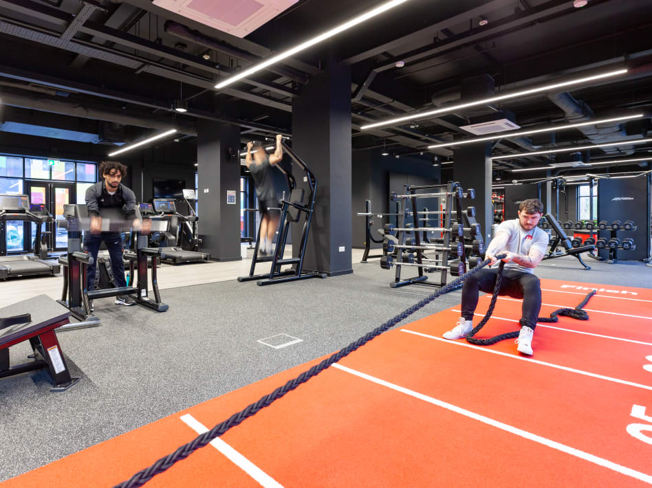 Image of True Swansea