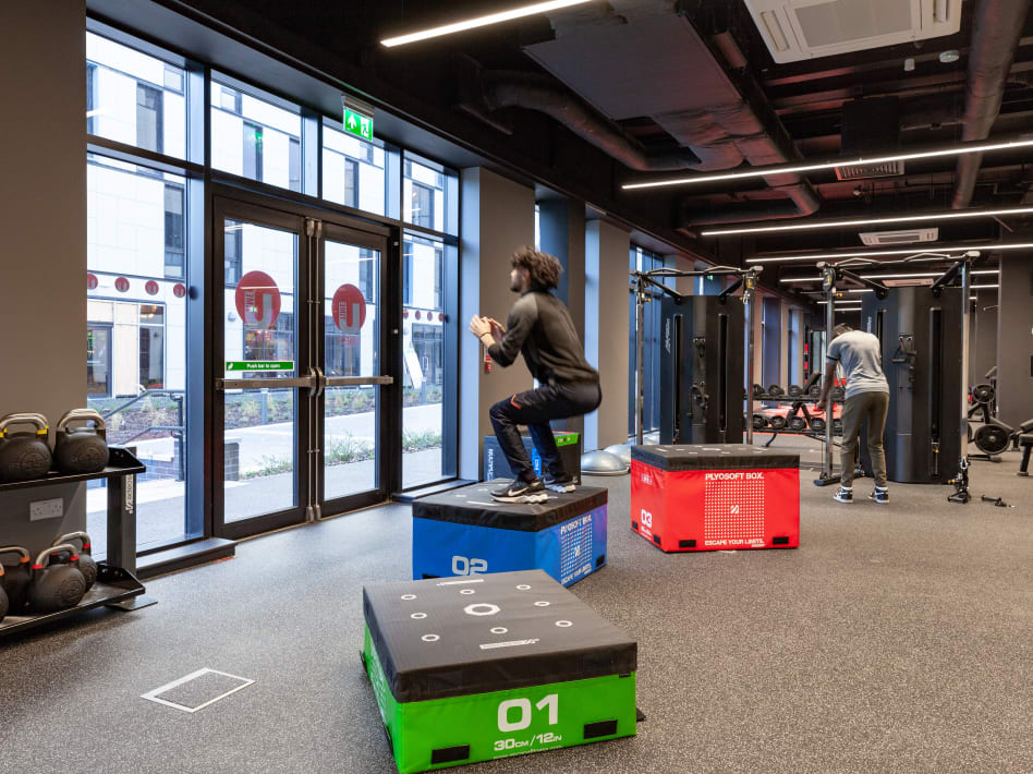 Image of True Swansea