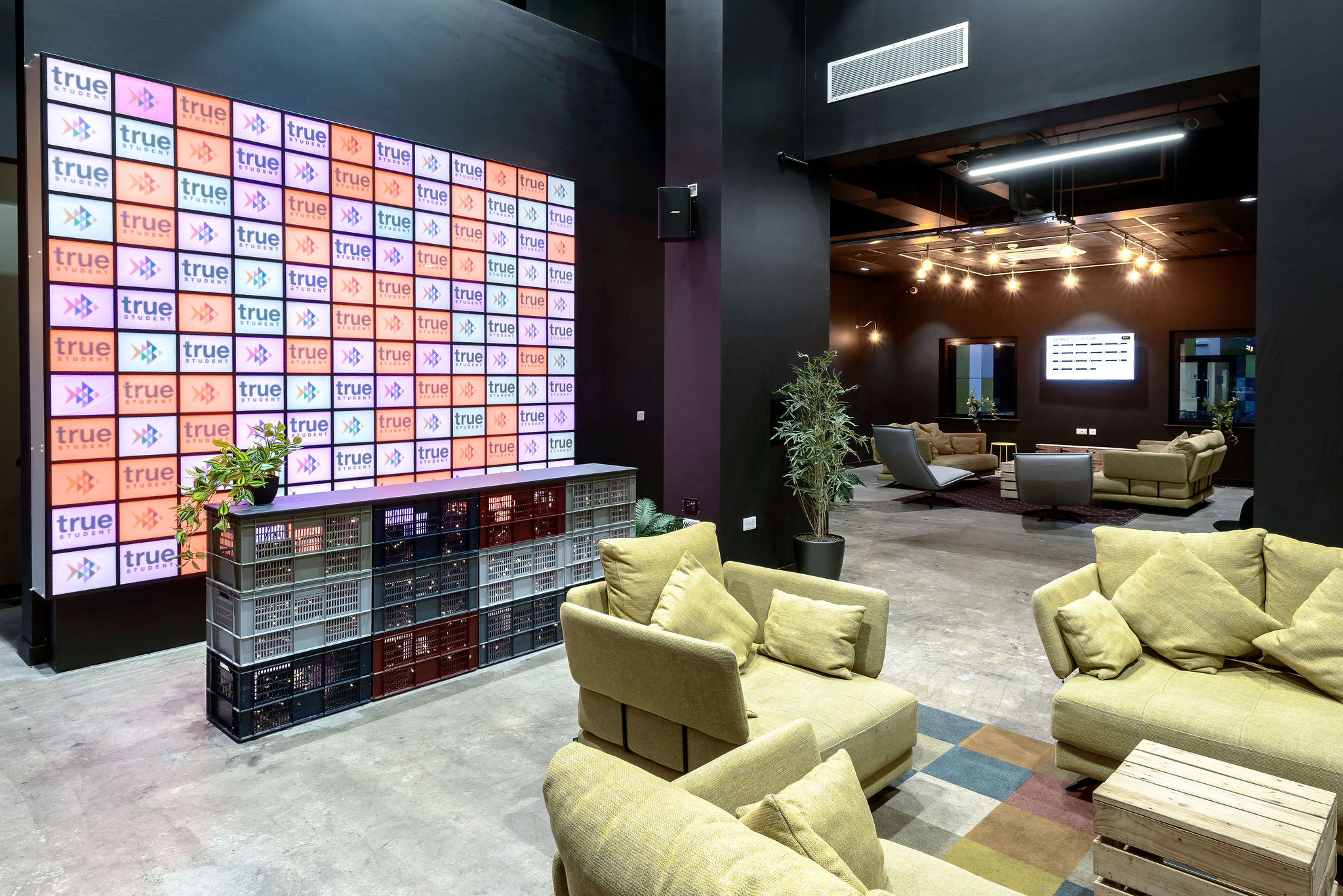 Image of True Swansea