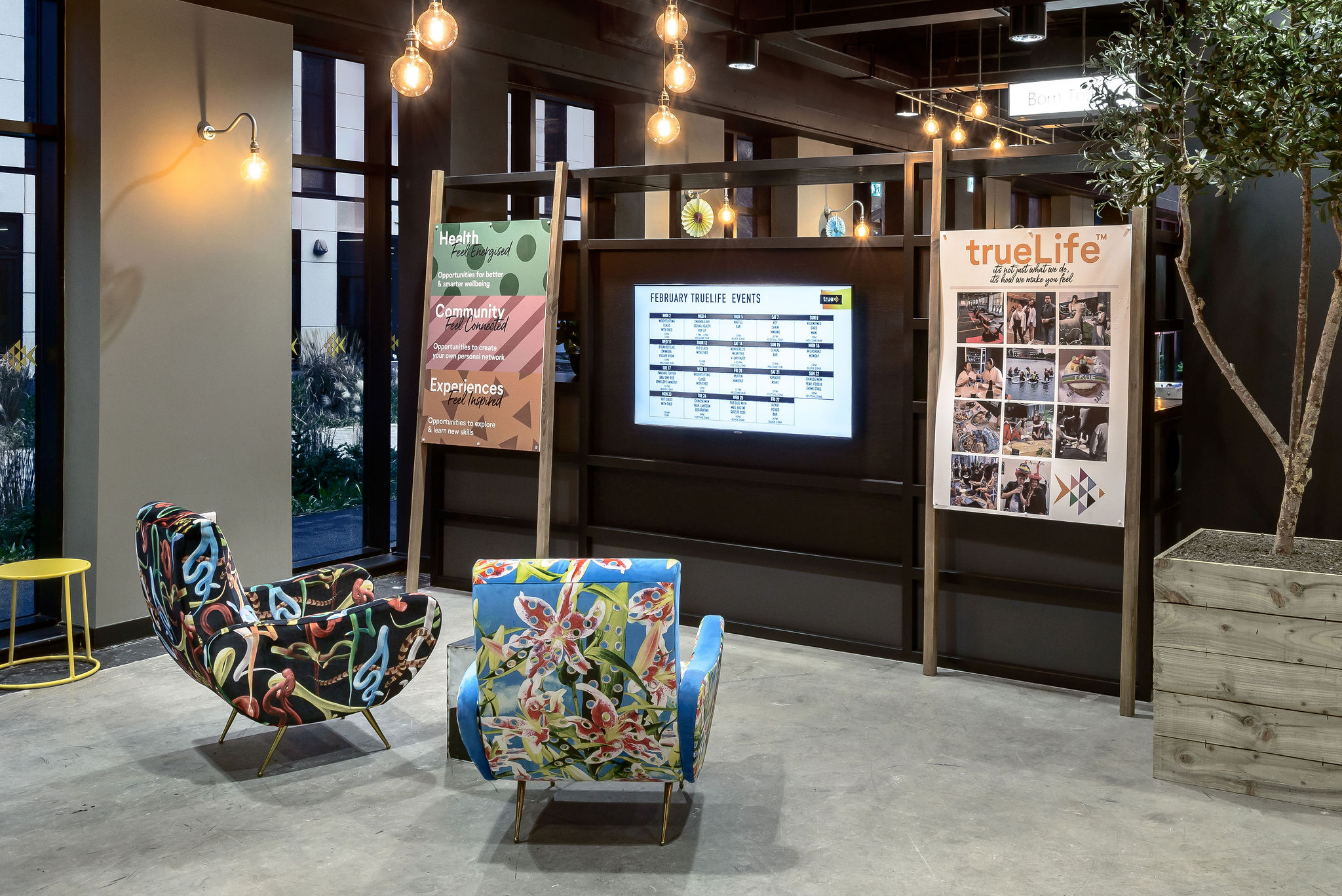 Image of True Swansea