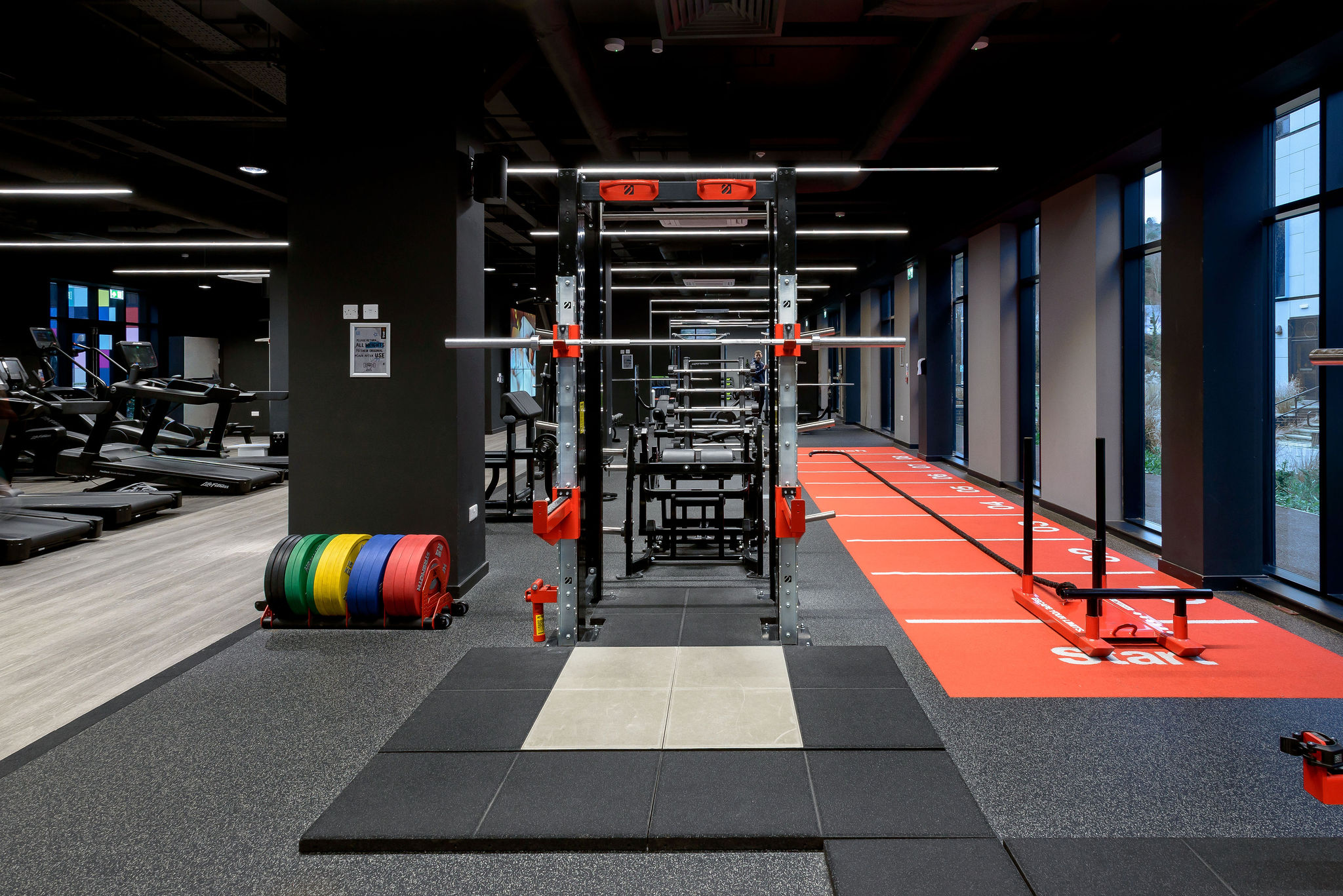 Image of True Swansea