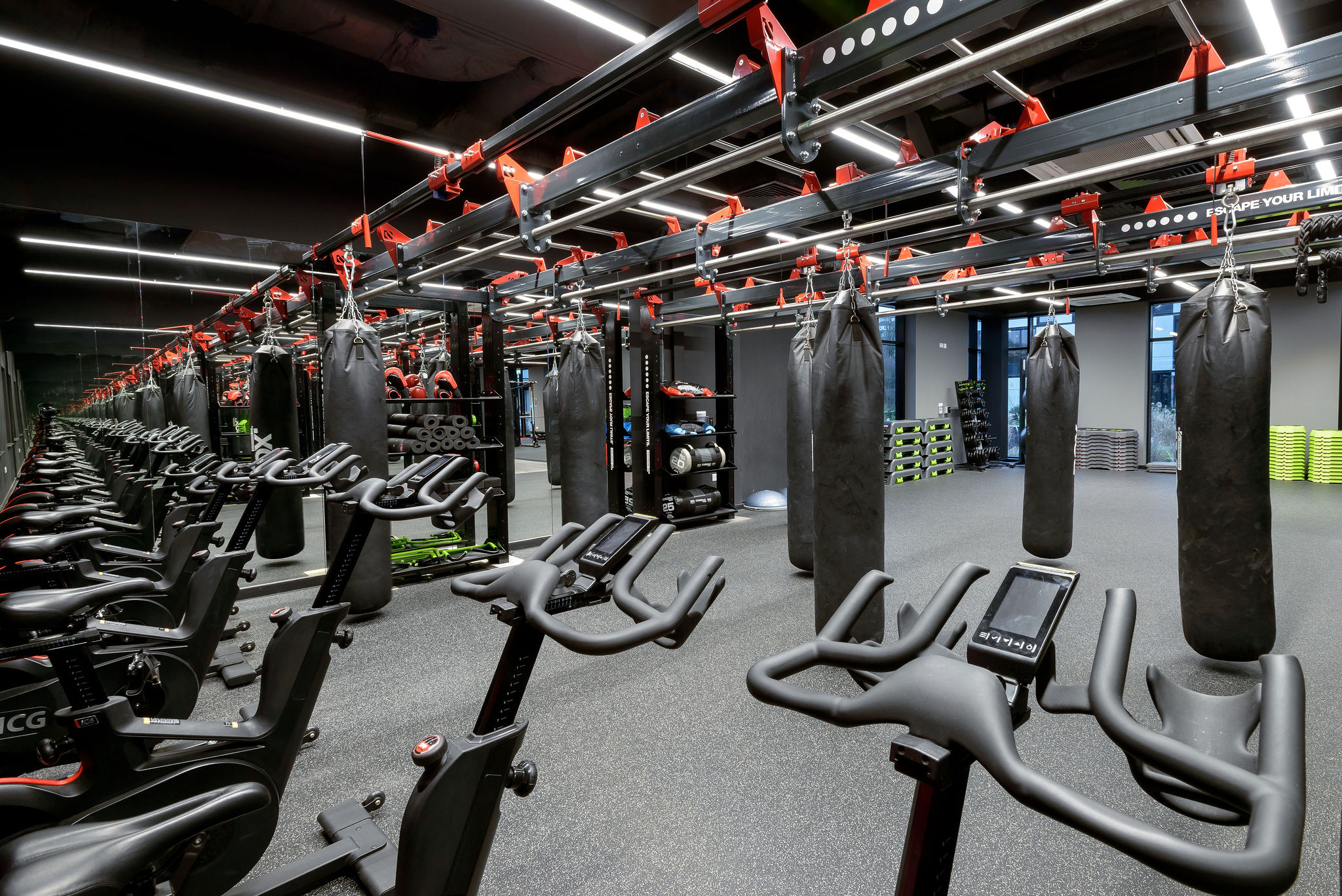 Image of True Swansea