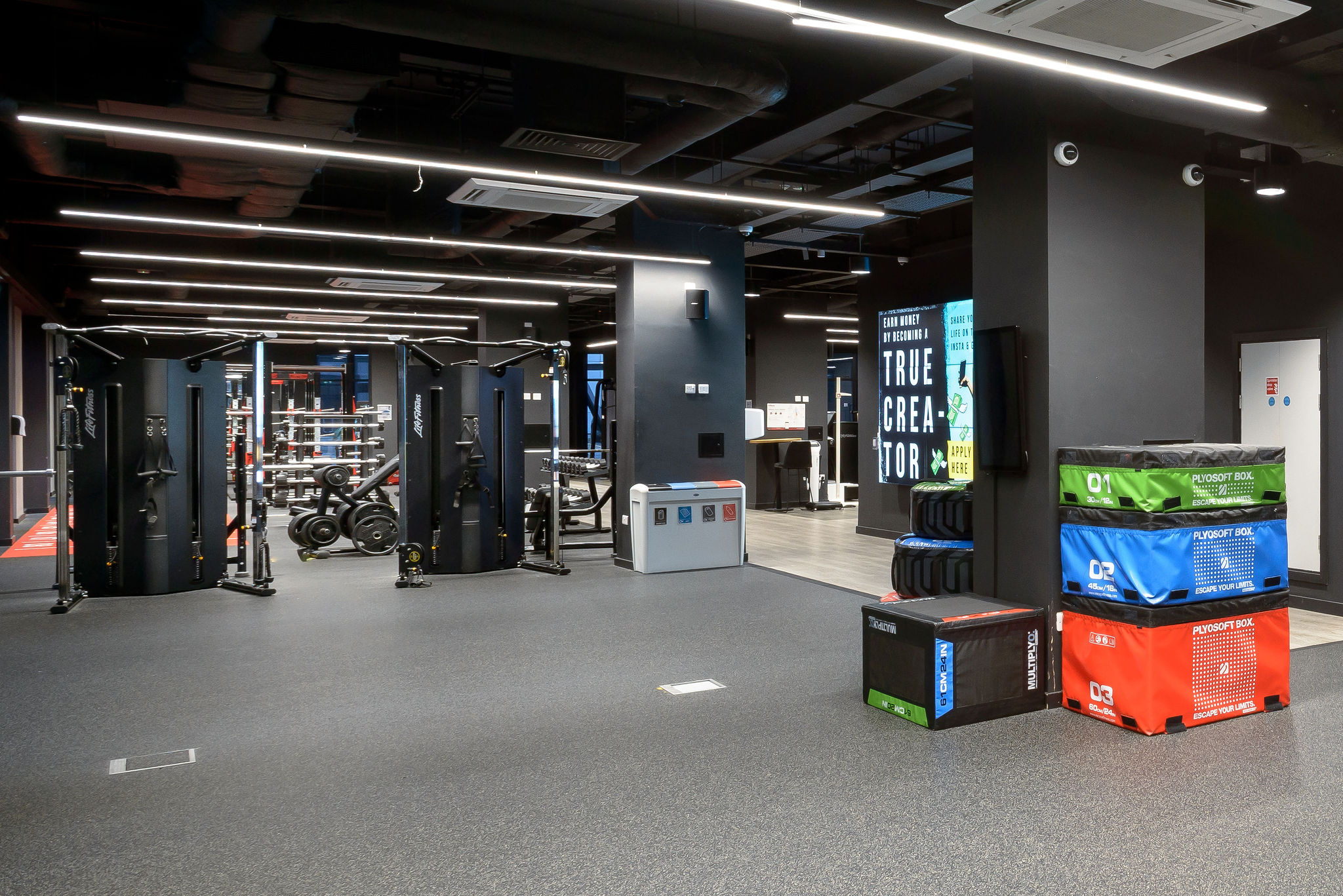 Image of True Swansea