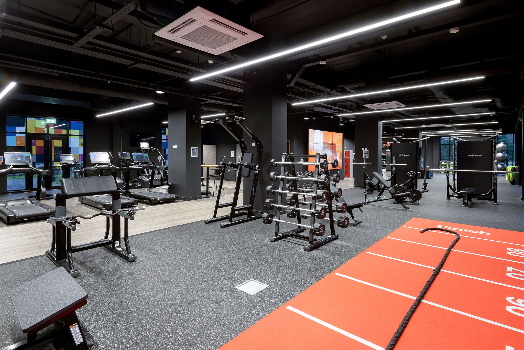 Image of True Swansea